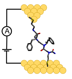 Single-molecule Electron Transport in Peptoids
