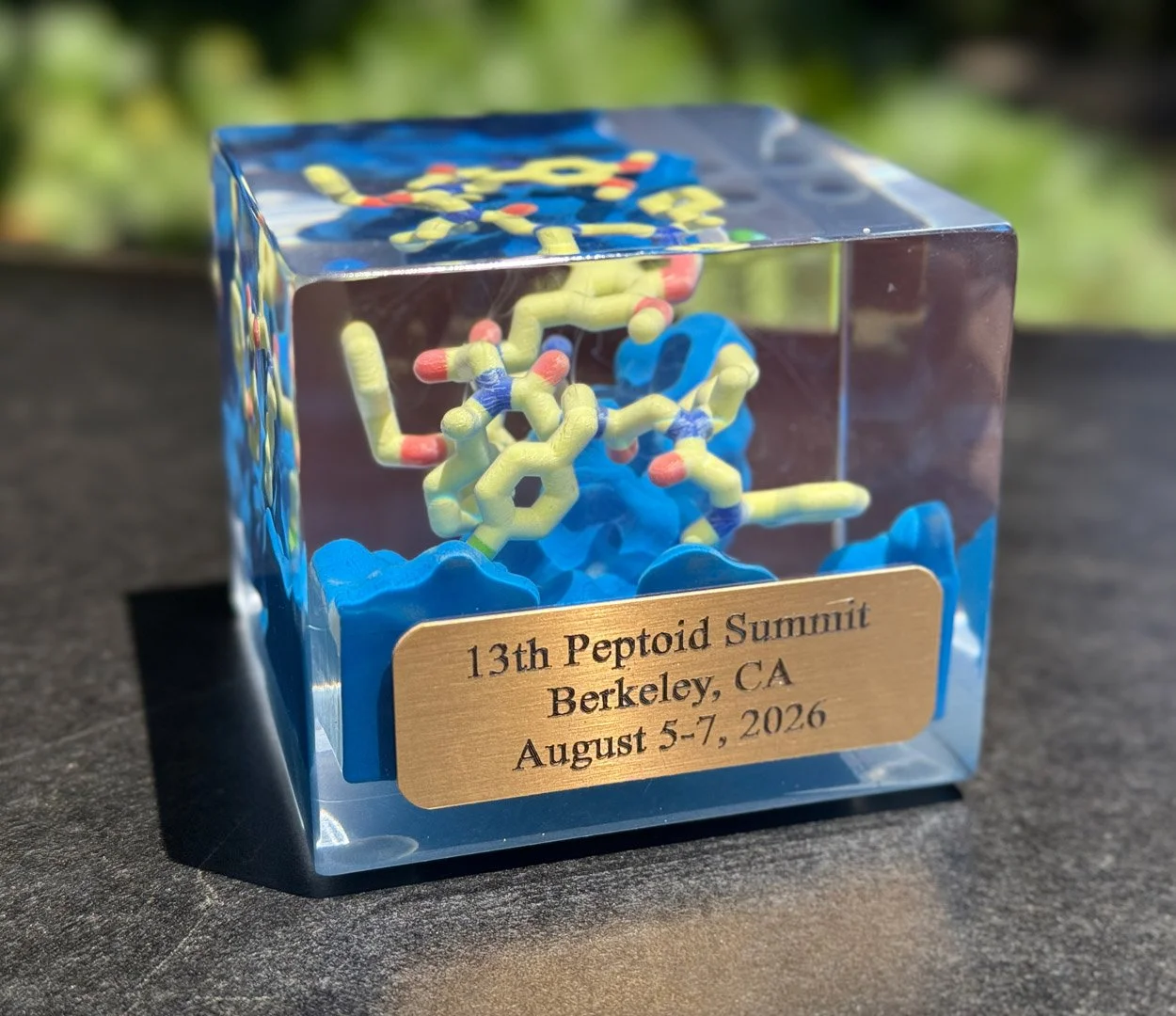 Custom made Peptoid Summit Award