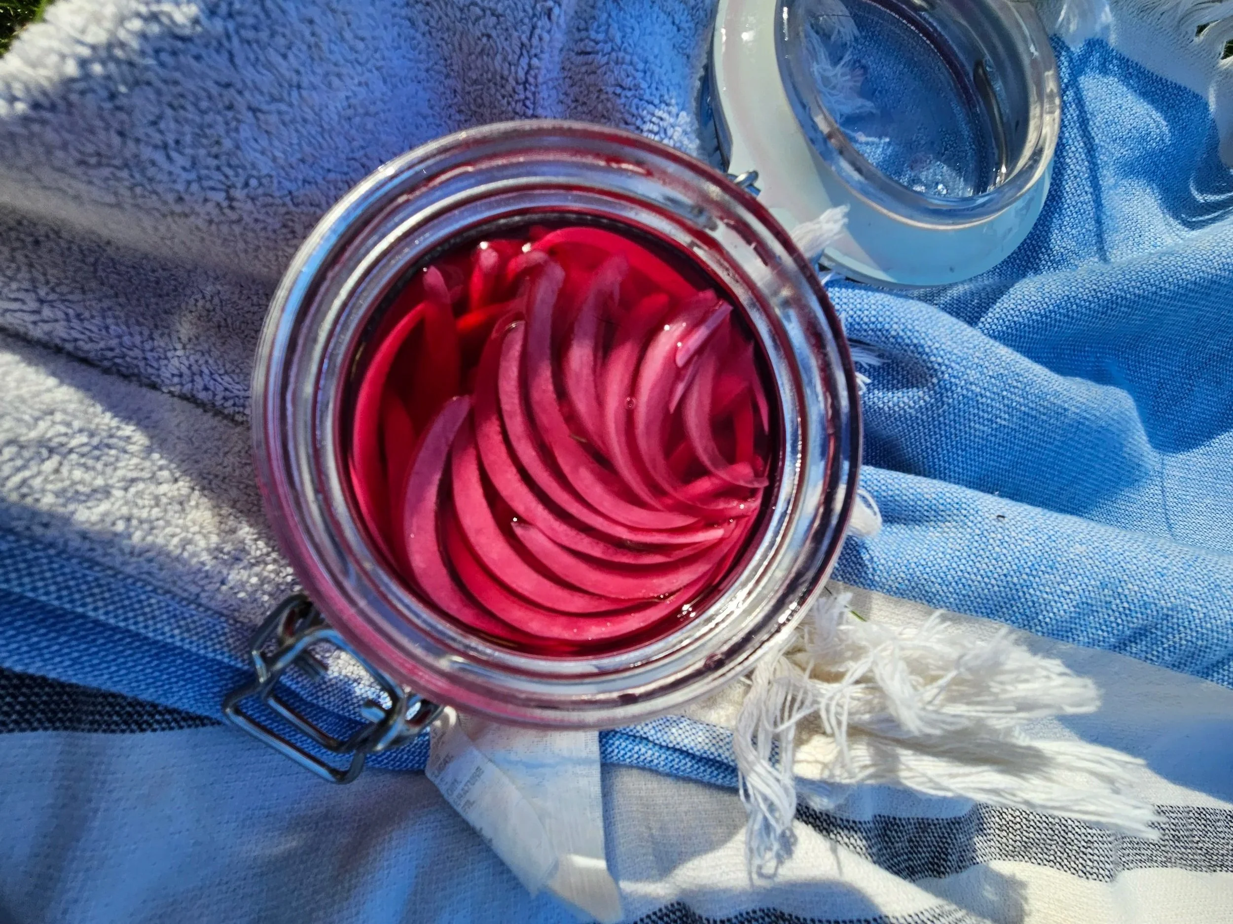 Pickled Red Onions Recipe