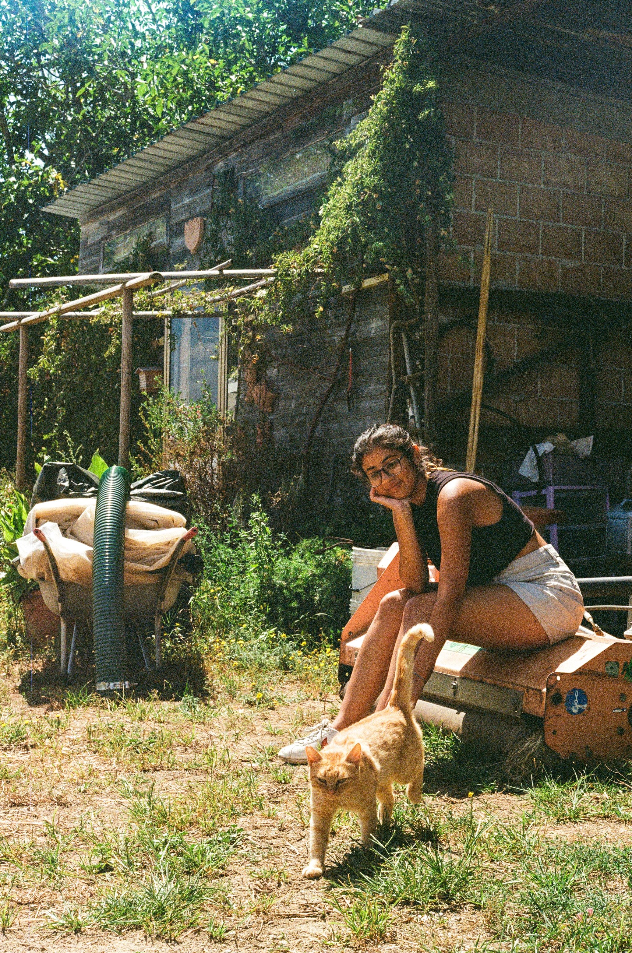A young woman with glasses and dark hair, wearing a black sleeveless top and light-colored shorts, sitting on a small orange machine outdoors in a backyard. She is resting her chin on her hand and has a slight smile. A ginger cat is walking in front of her. The yard has green grass, plants, and garden tools, with a rustic wooden shed and greenery in the background.