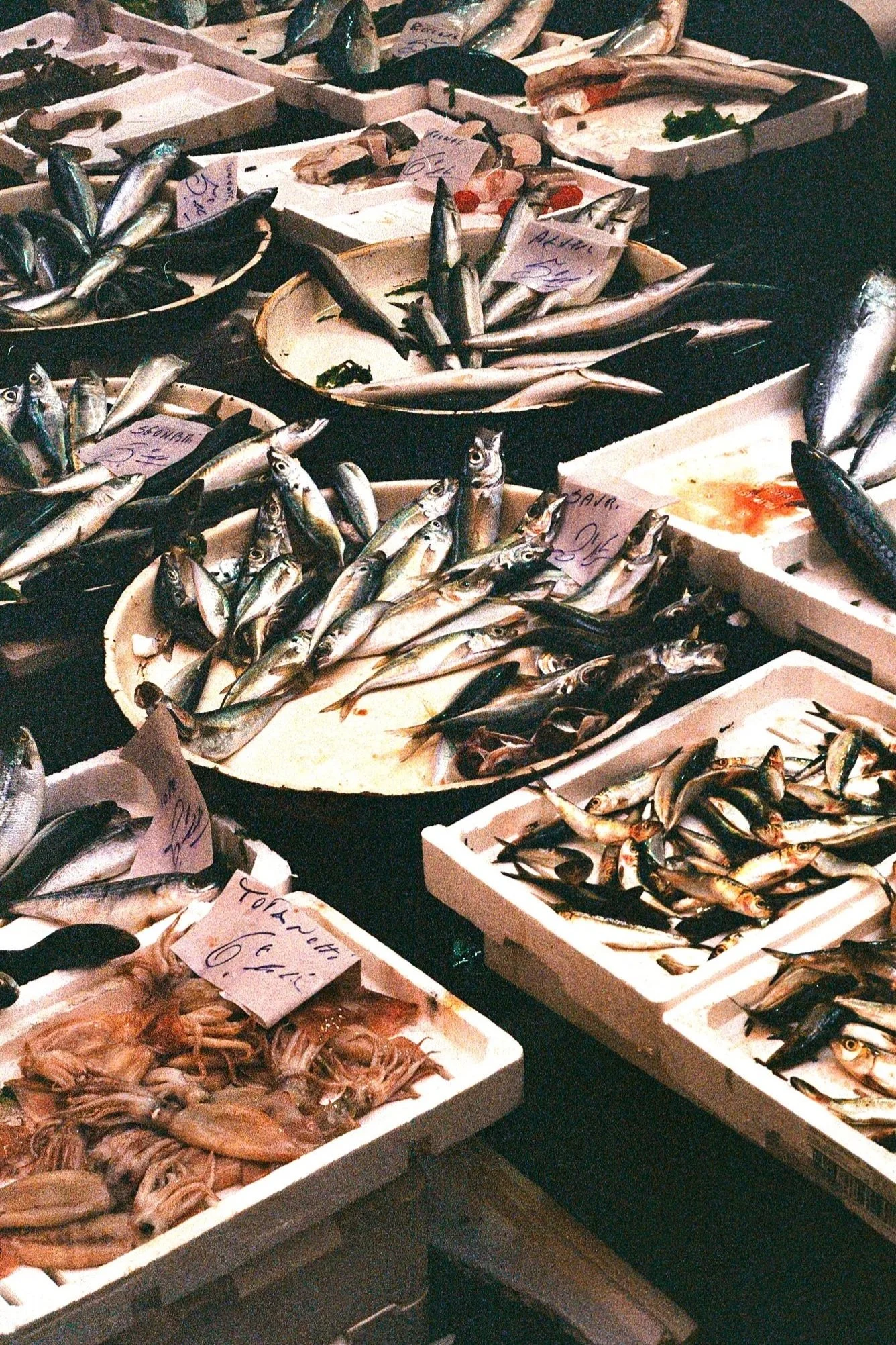 Various fresh fish and seafood displayed in trays and foam boxes at a market.