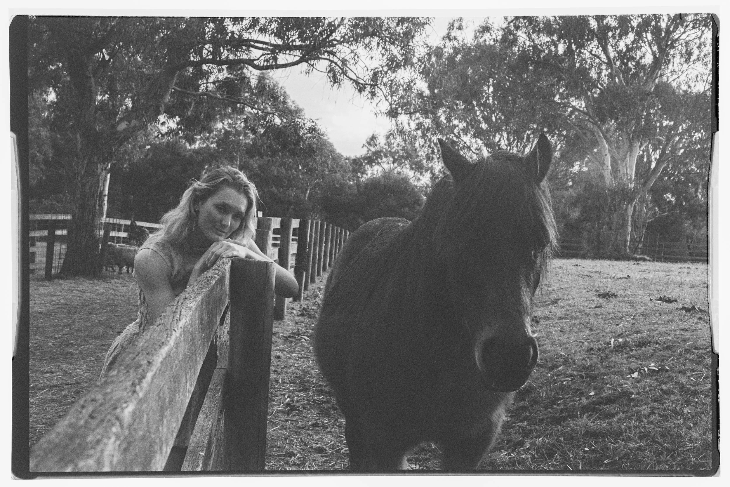 A woman leaning on a wooden fence looking at a large horse in a rural setting with trees and a cloudy sky in the background.