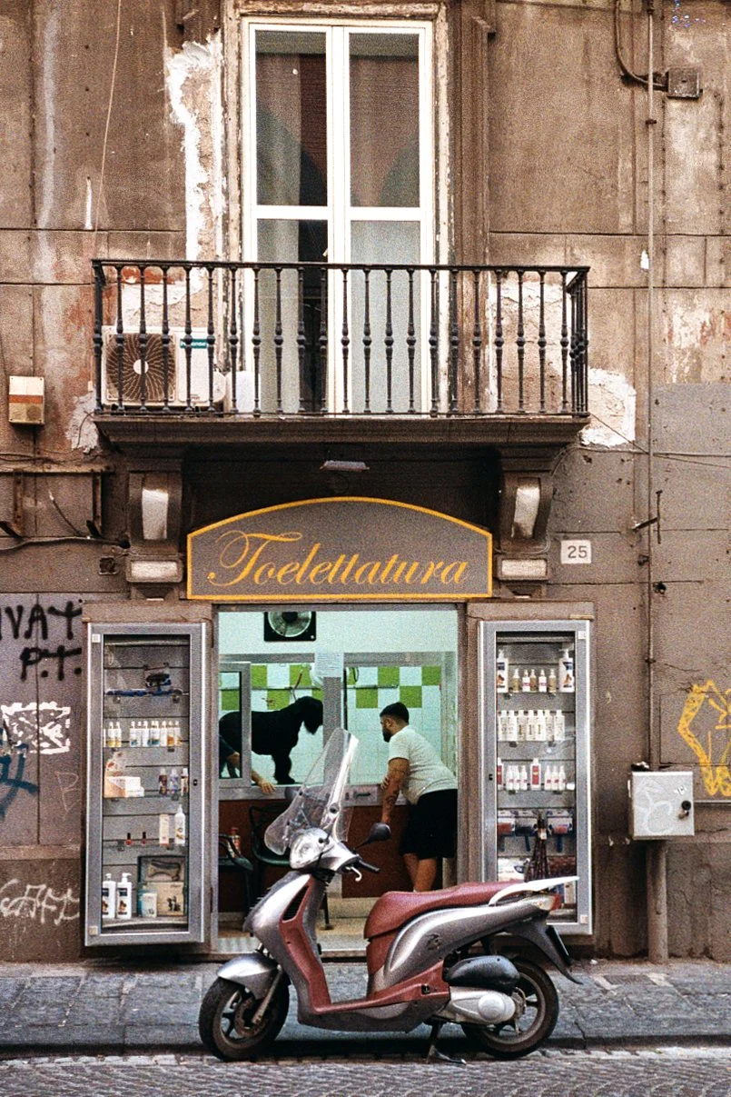 A storefront with a sign that reads 'Toelettatura,' Italian for grooming, with open glass doors displaying shelves of products. A man is inside grooming a black dog, with a large window behind them showing green and white tiles. A pink scooter is parked on the cobblestone street in front of the shop, and the building has an upper balcony with a white door and railing.