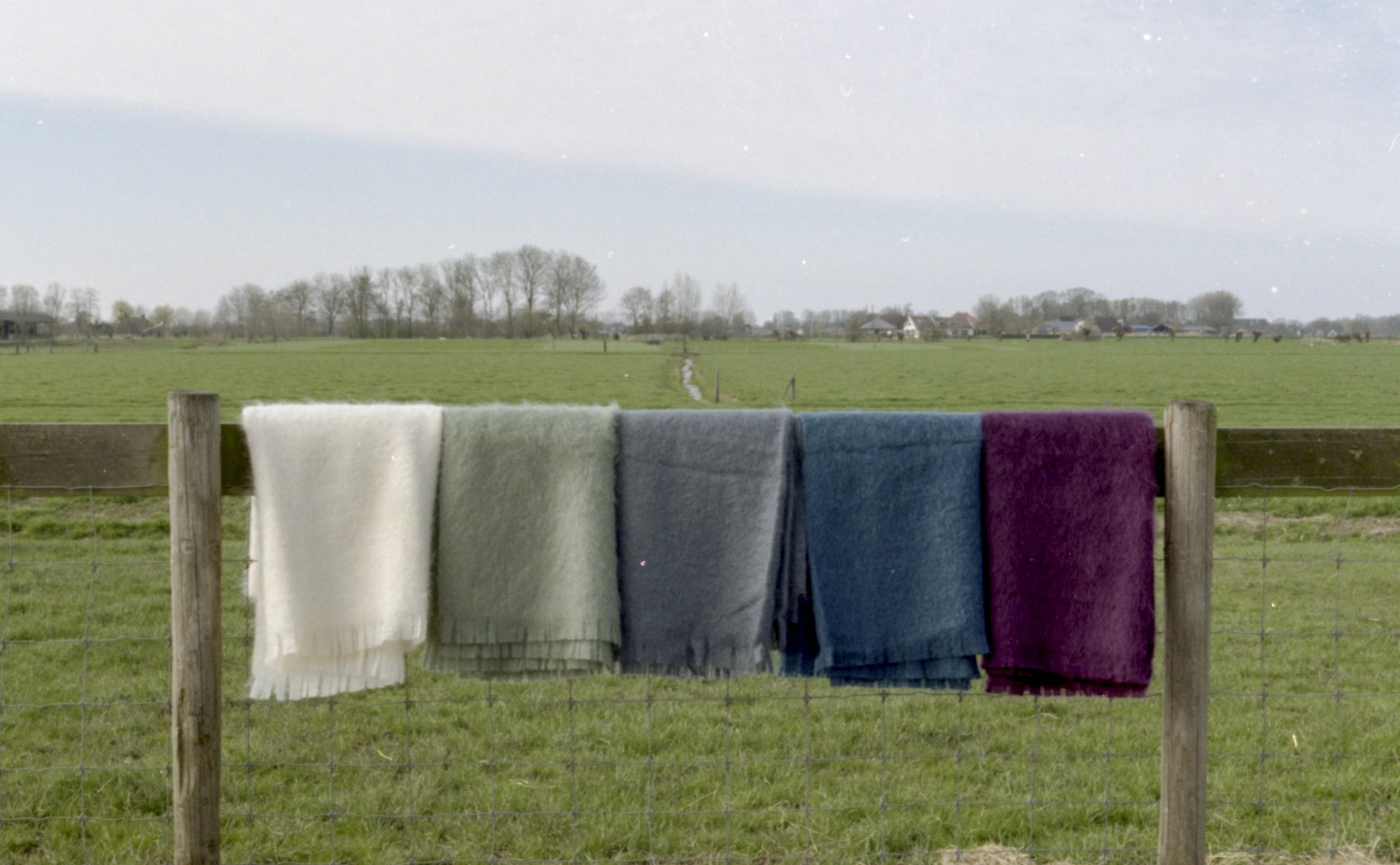 Four towels in white, light green, dark gray, navy blue, and purple hanging on a wooden fence in a green open field with farm buildings and trees in the background.