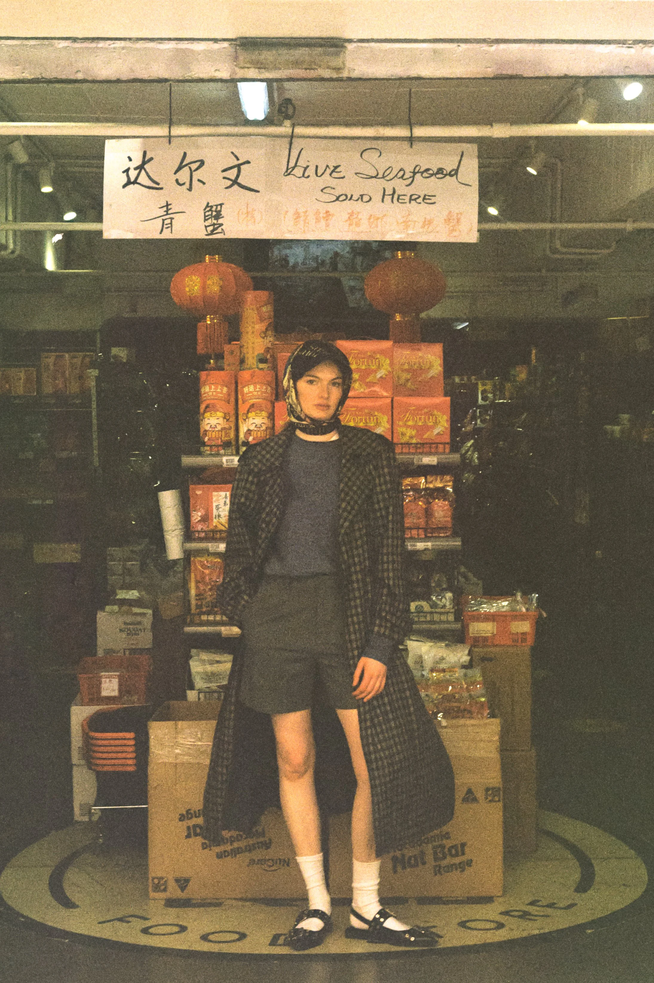 A woman standing in front of a seafood store with a sign that reads 'Live Seafood Sold Here' in English and Chinese, surrounded by various food products and decorations, including red lanterns.