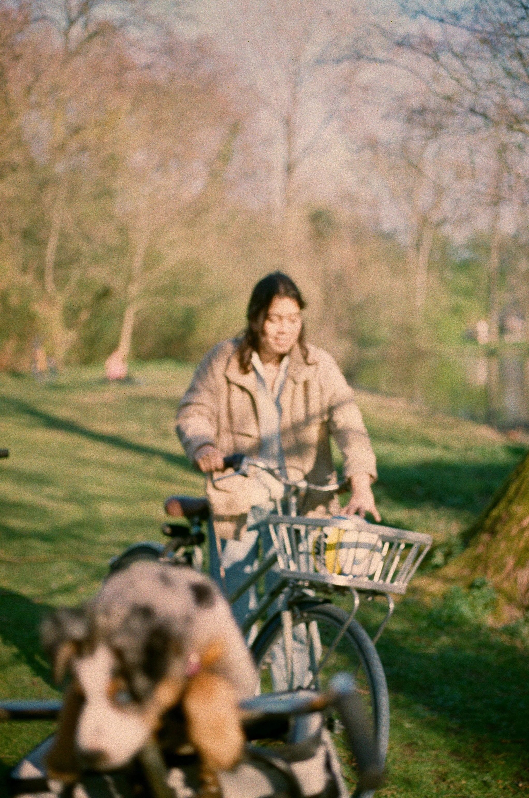 Woman in beige jacket riding a bicycle with a basket, along a park path with trees and grass, and a blurry dog in the foreground.