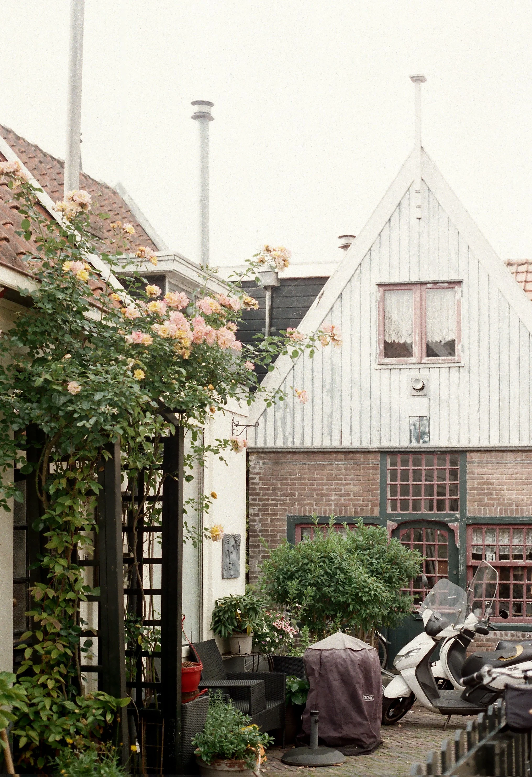 A cozy outdoor patio area with black chairs, potted plants, and a scooter parked next to a brick and wooden house with pink window frames and flowers.