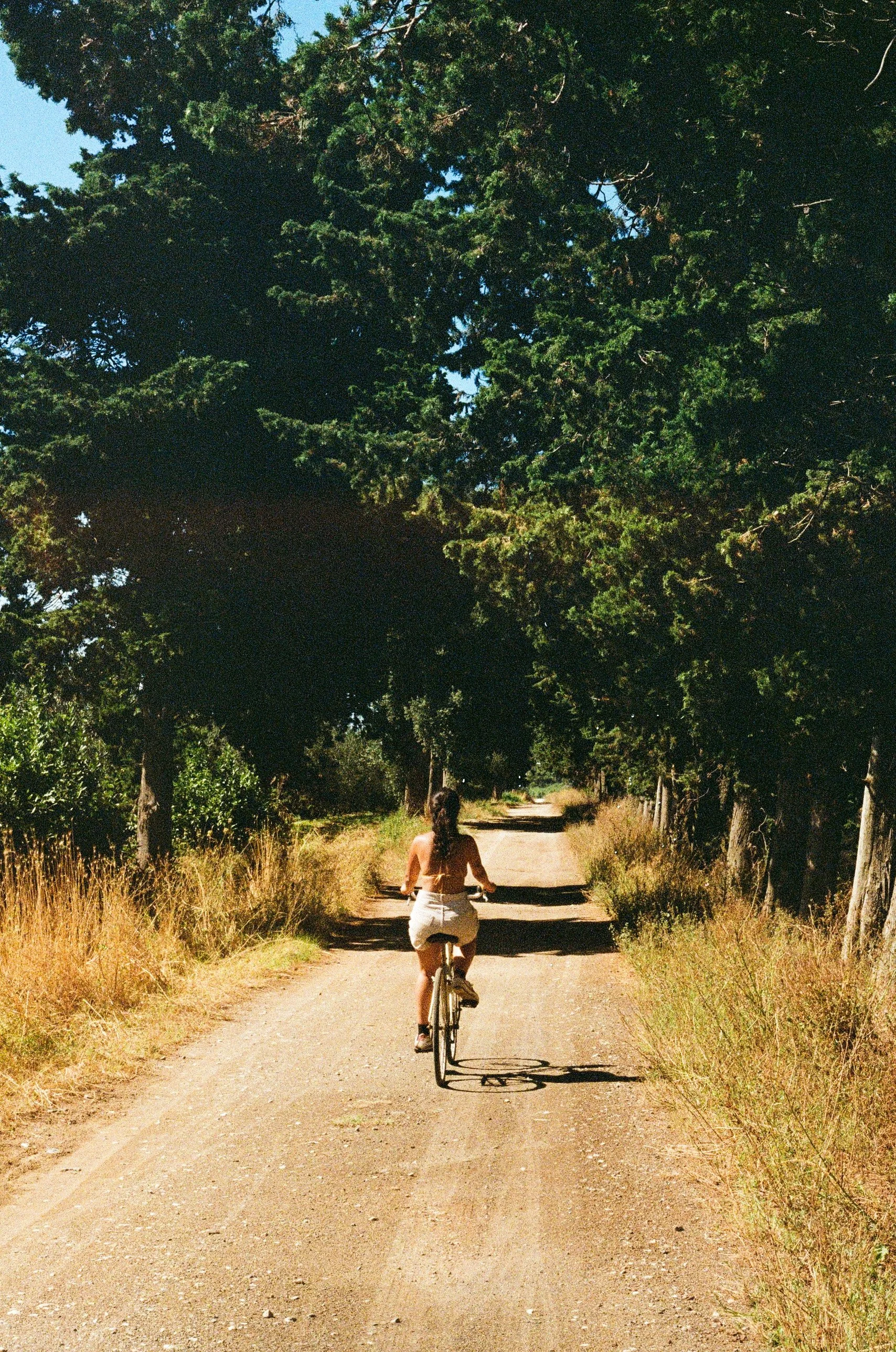 A woman biking on a dirt road surrounded by trees and grass on a sunny day.