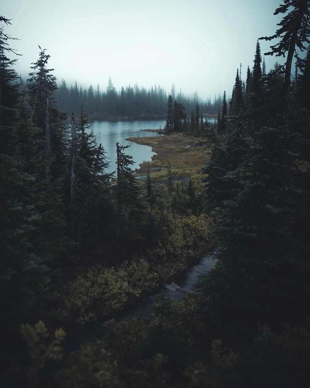 b3449ad2-2d46-4d75-9ea2-8e846c7e24ea.jpeg