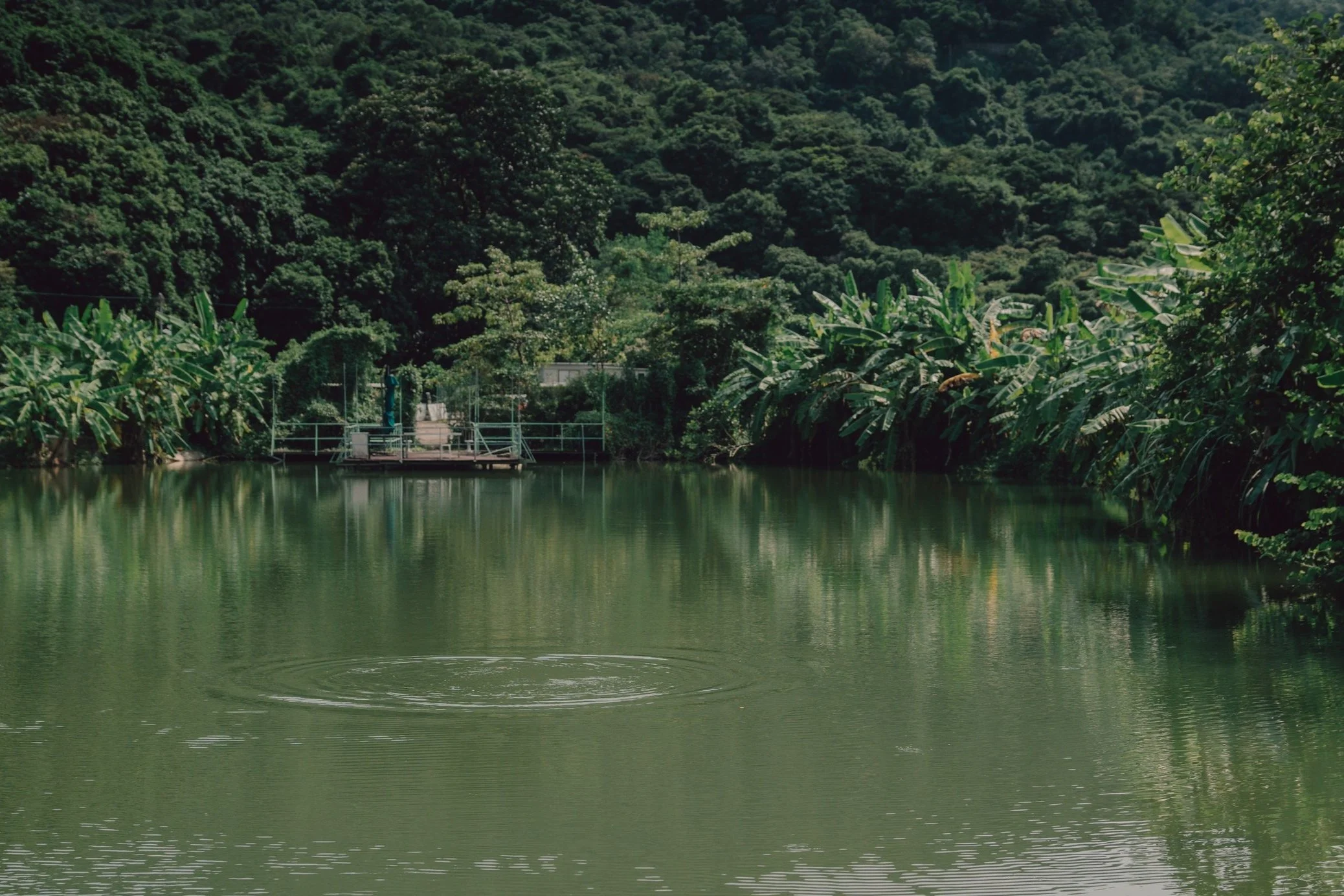 hideout-37.jpg