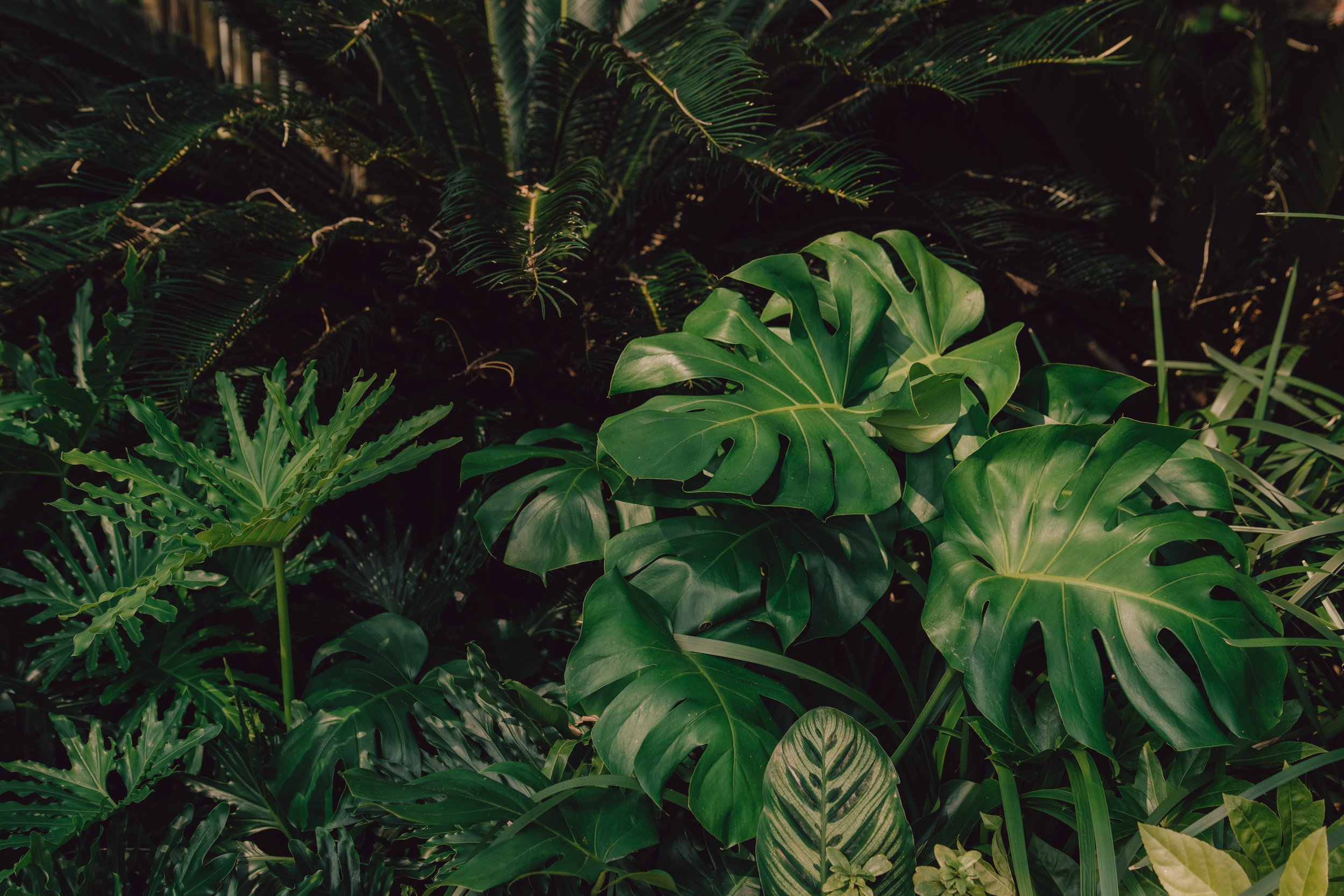 hideout-76.jpg