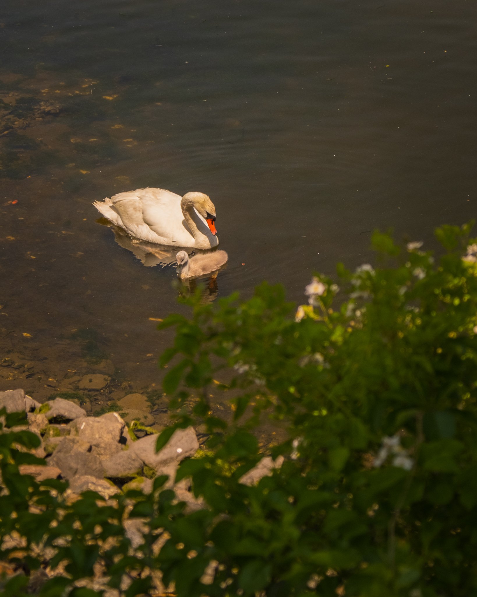 DSCF3236.jpg