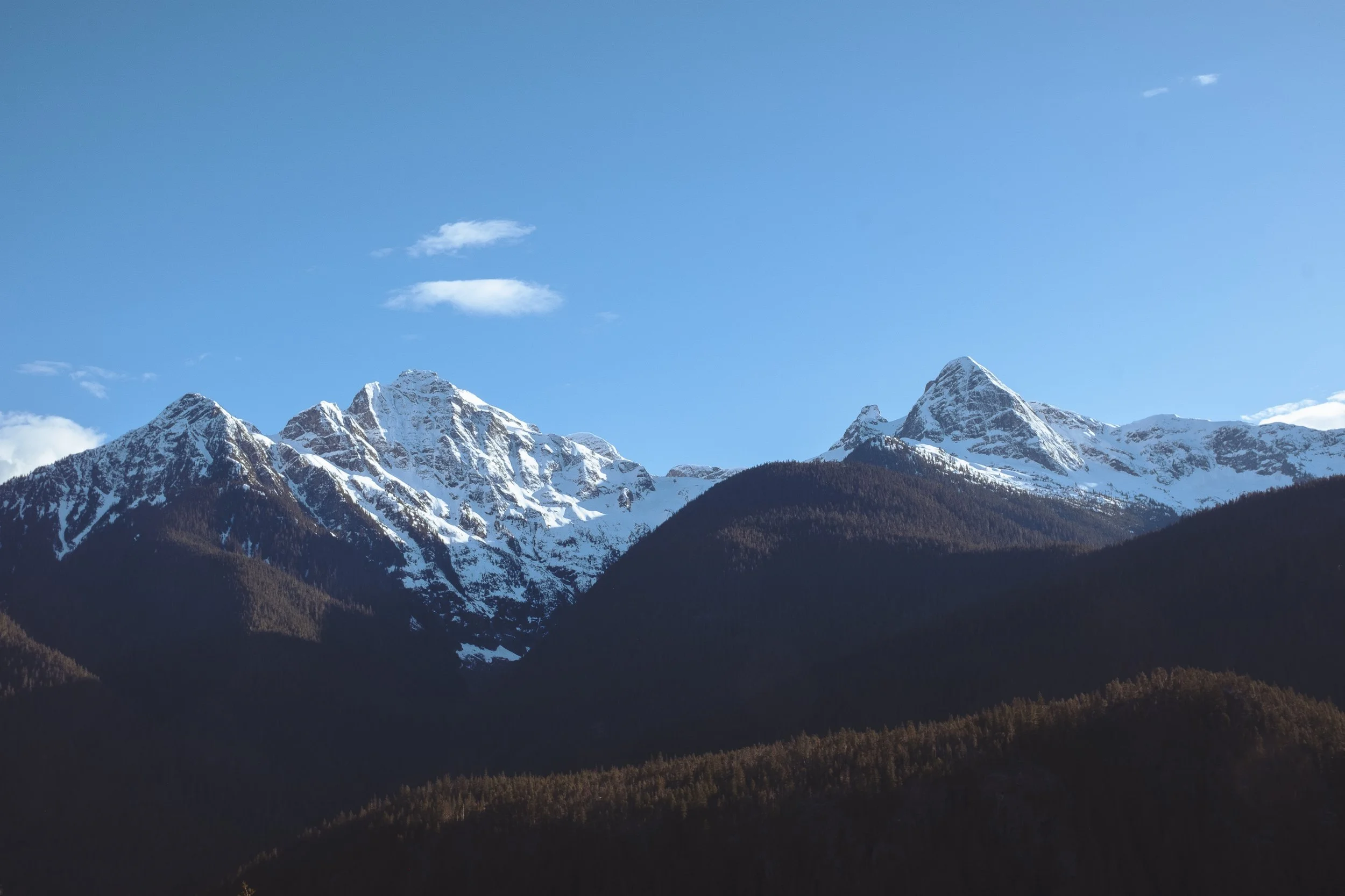DSCF9082.jpg