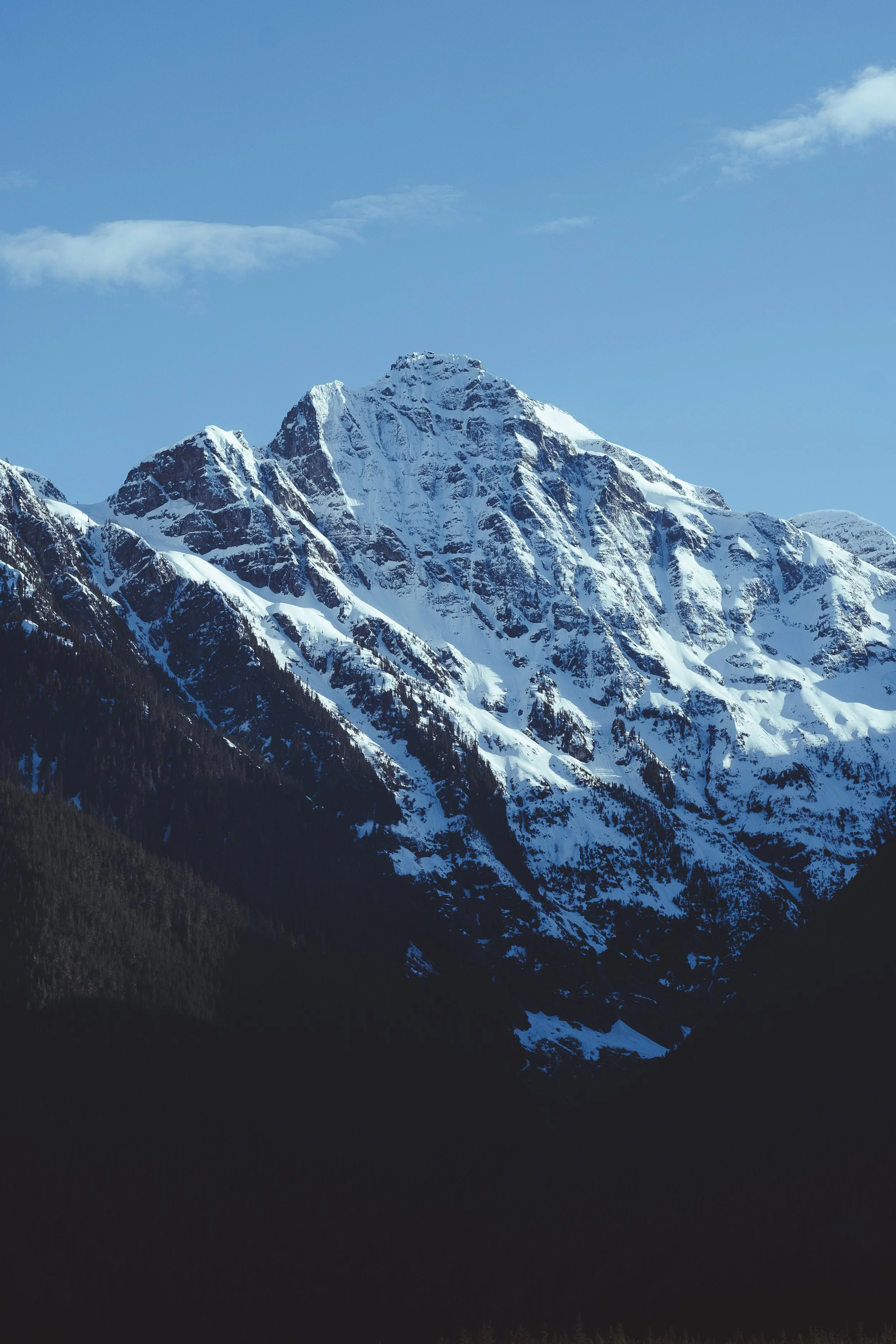 DSCF9065.jpg