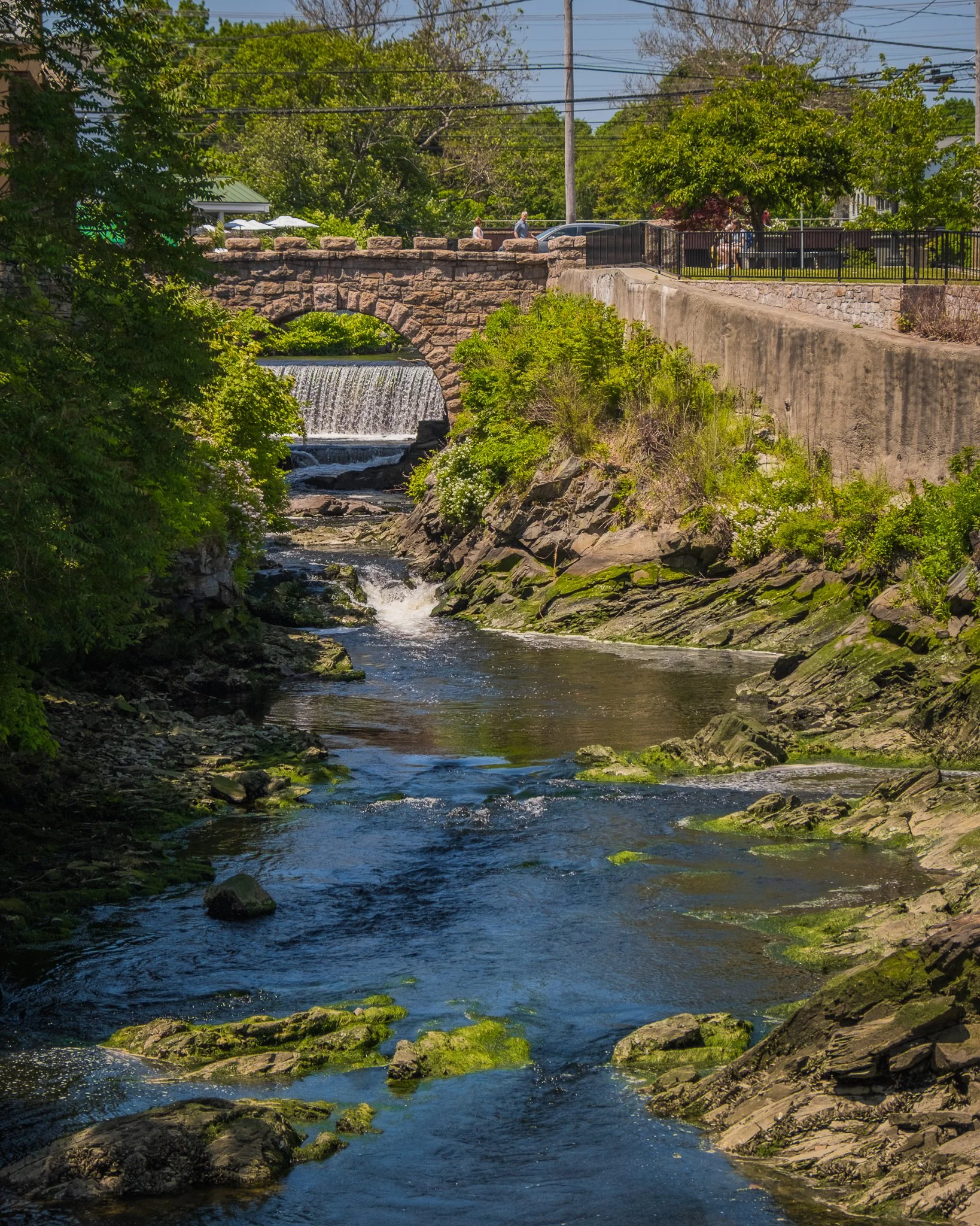 DSCF3240.jpg