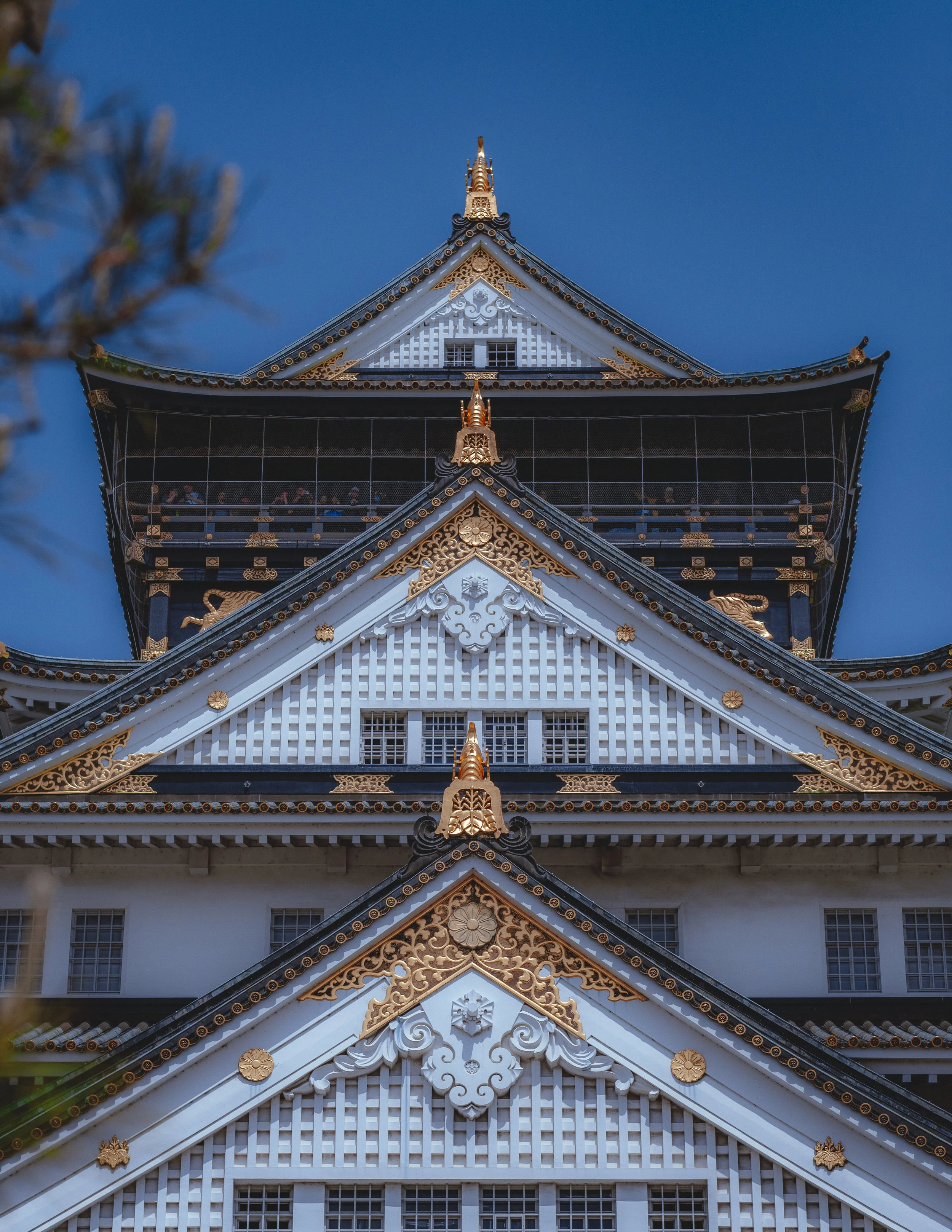 DSCF8400.jpg