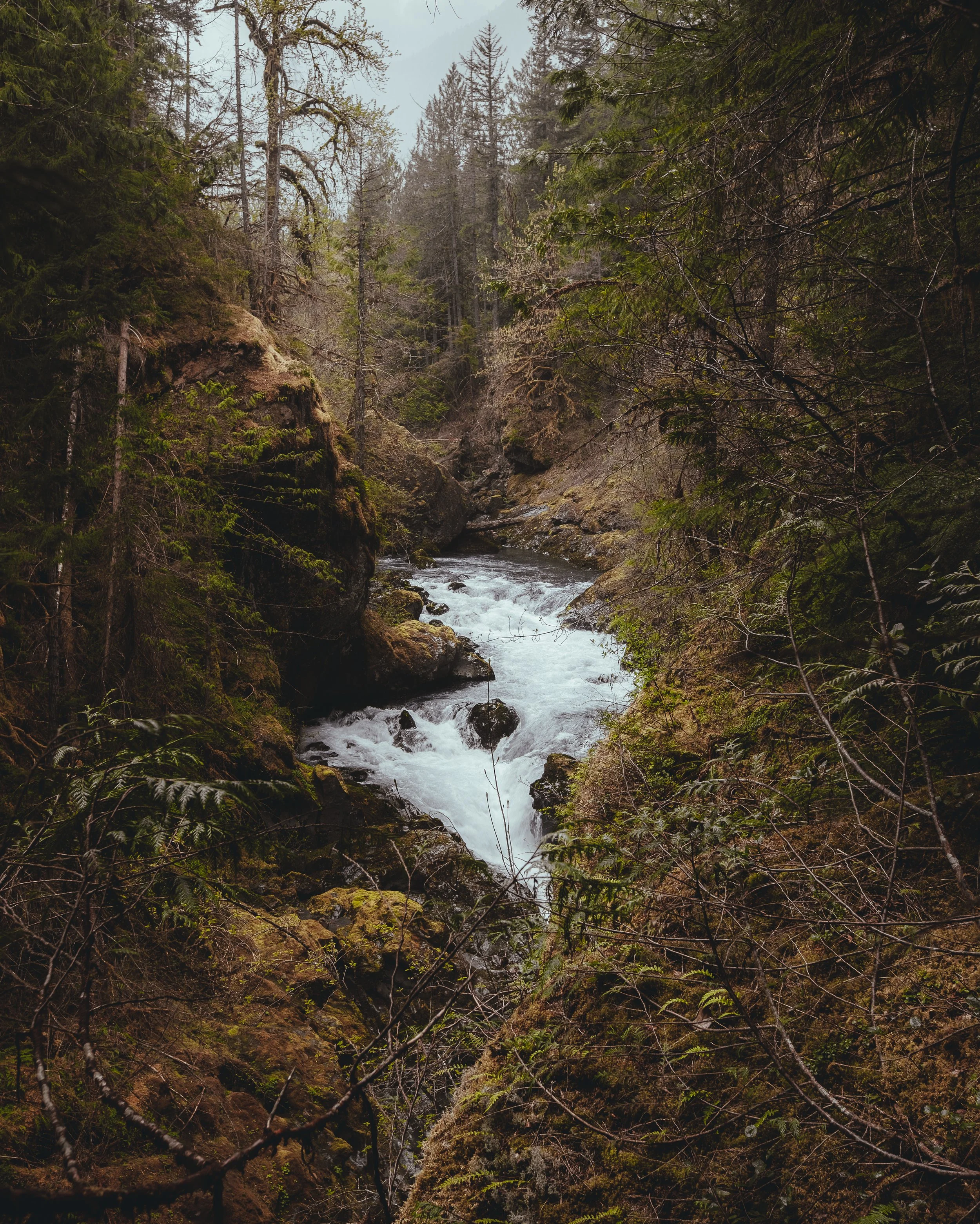 Nature