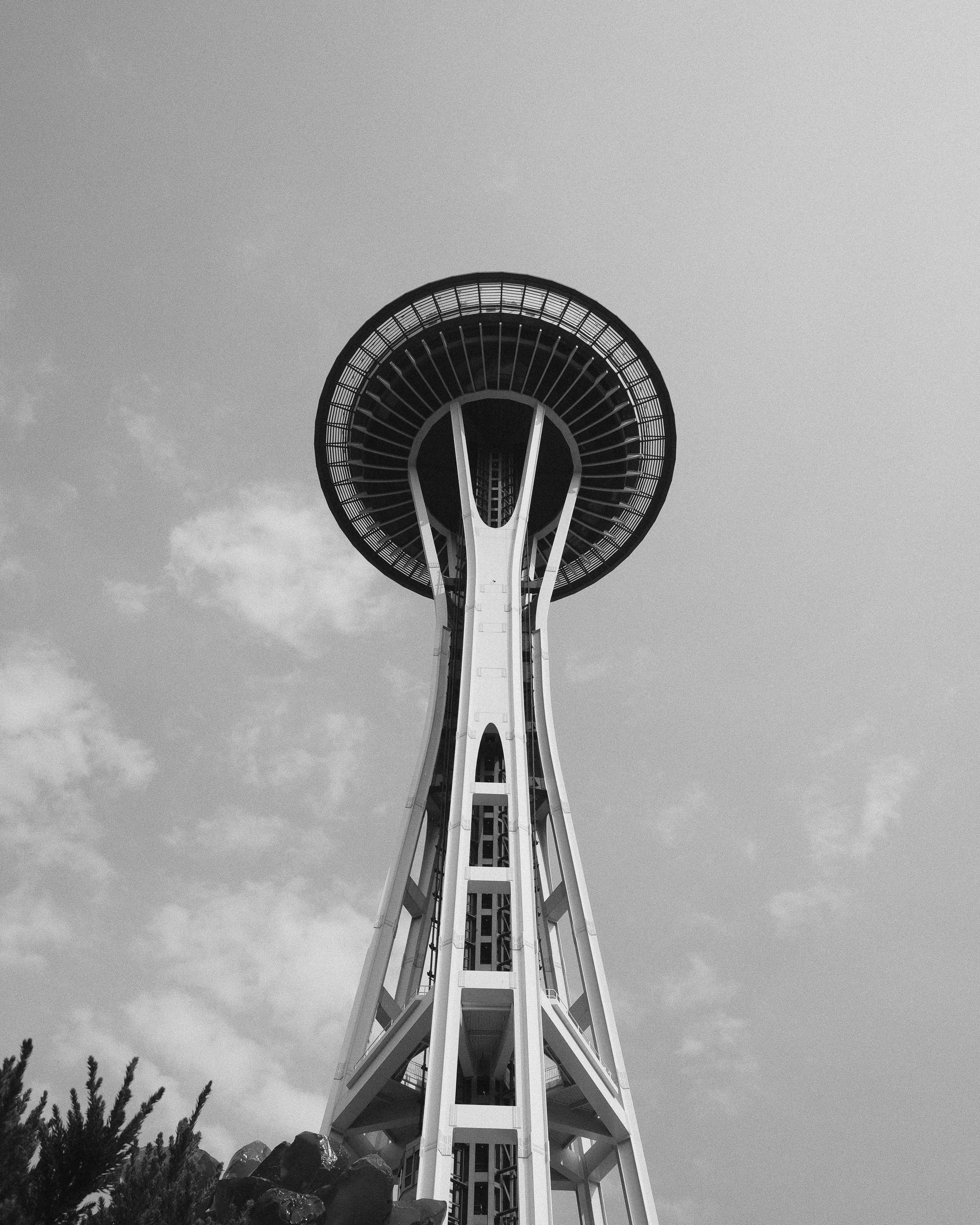 DSCF5481.jpg