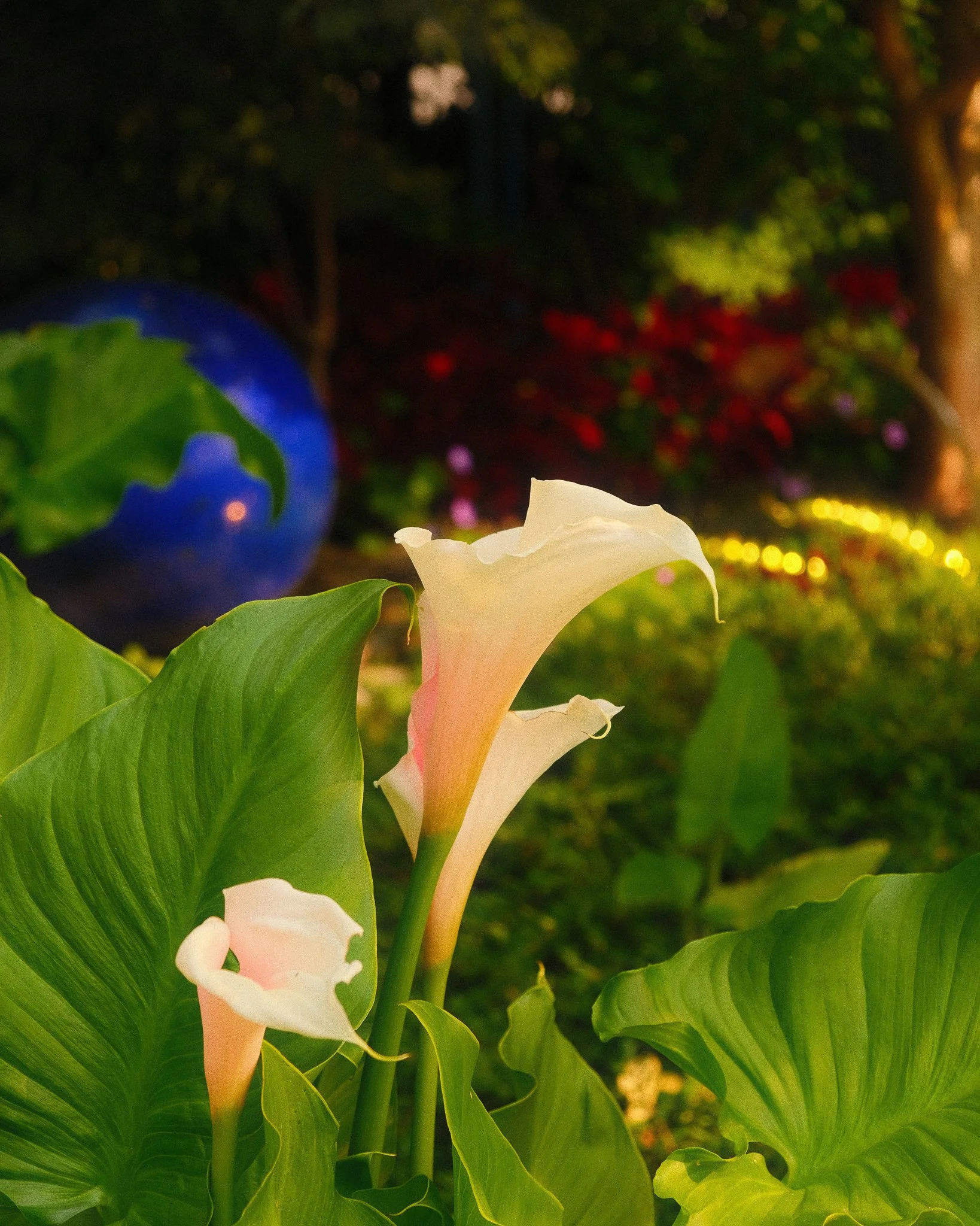 DSCF5492.jpg