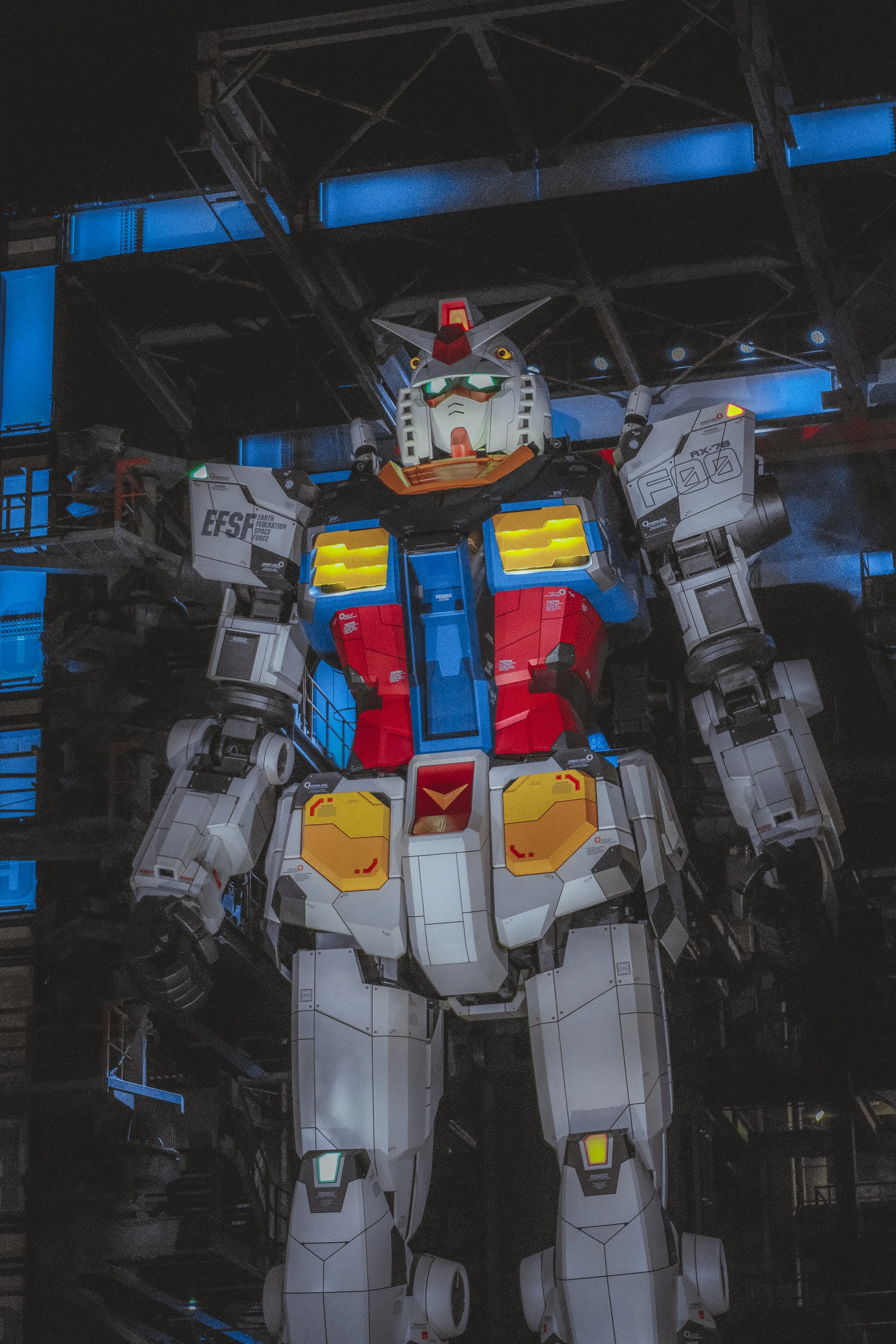 DSCF6920.jpg