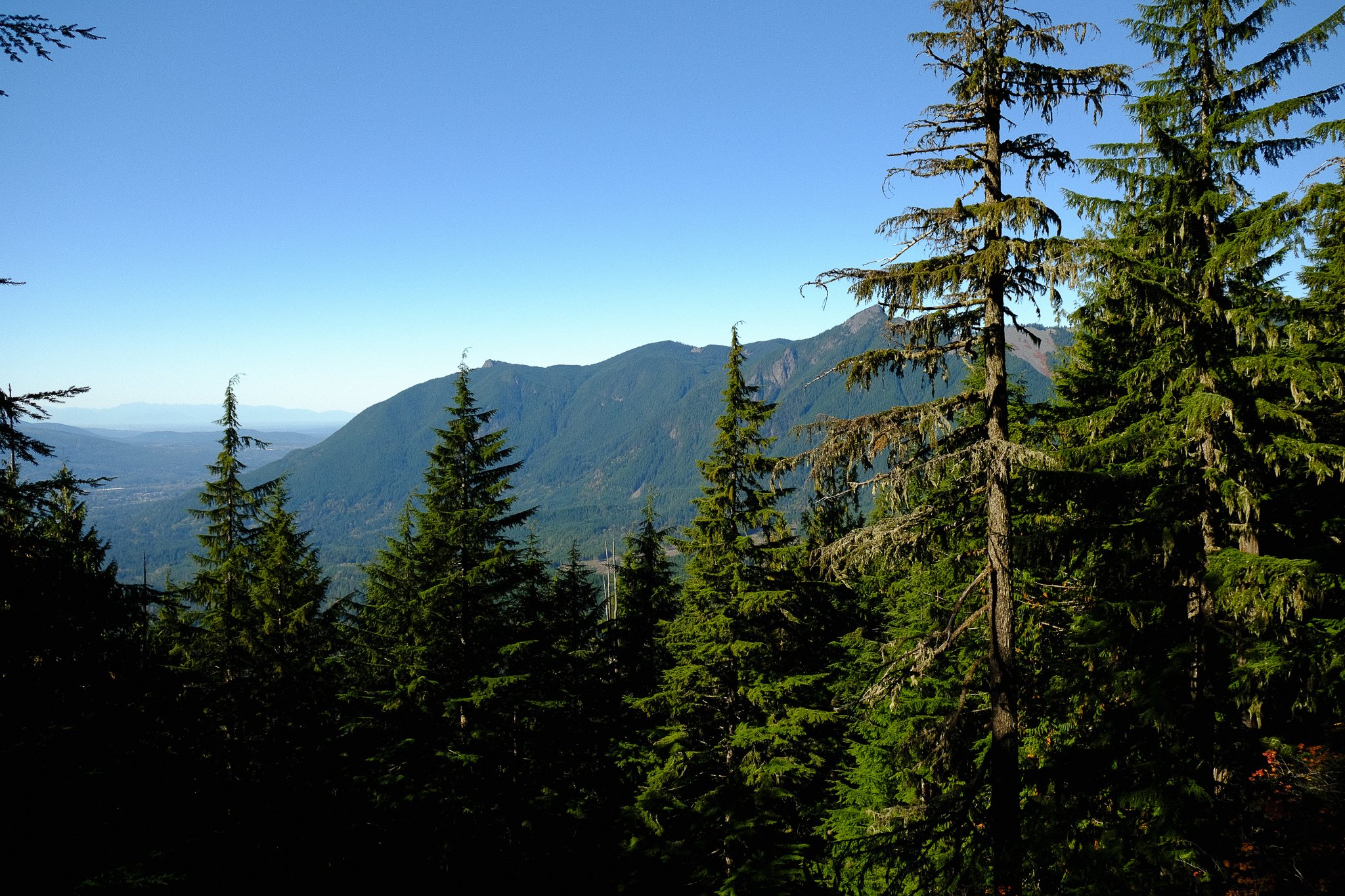 DSCF1919.jpg