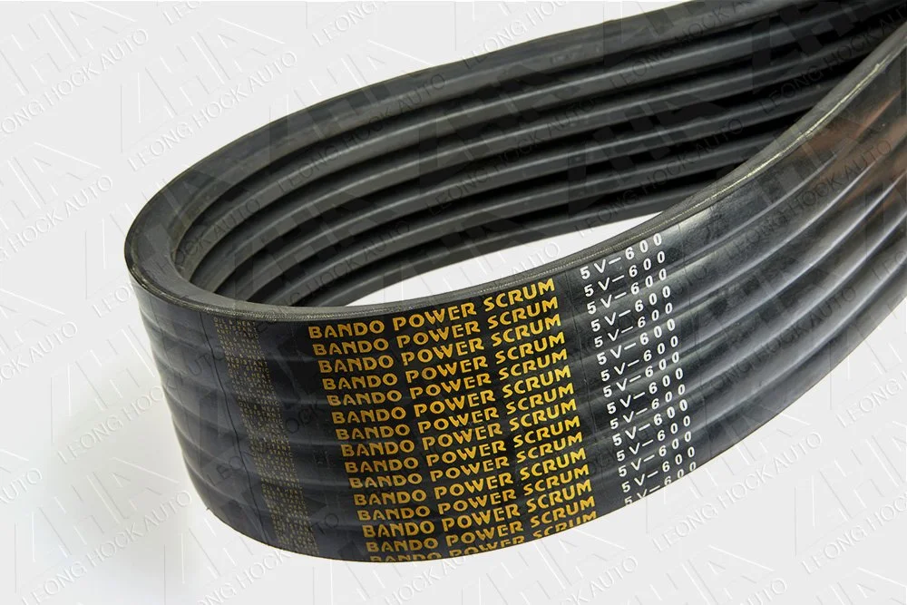 Bando Power Scrum Banded Belt Kraftbands