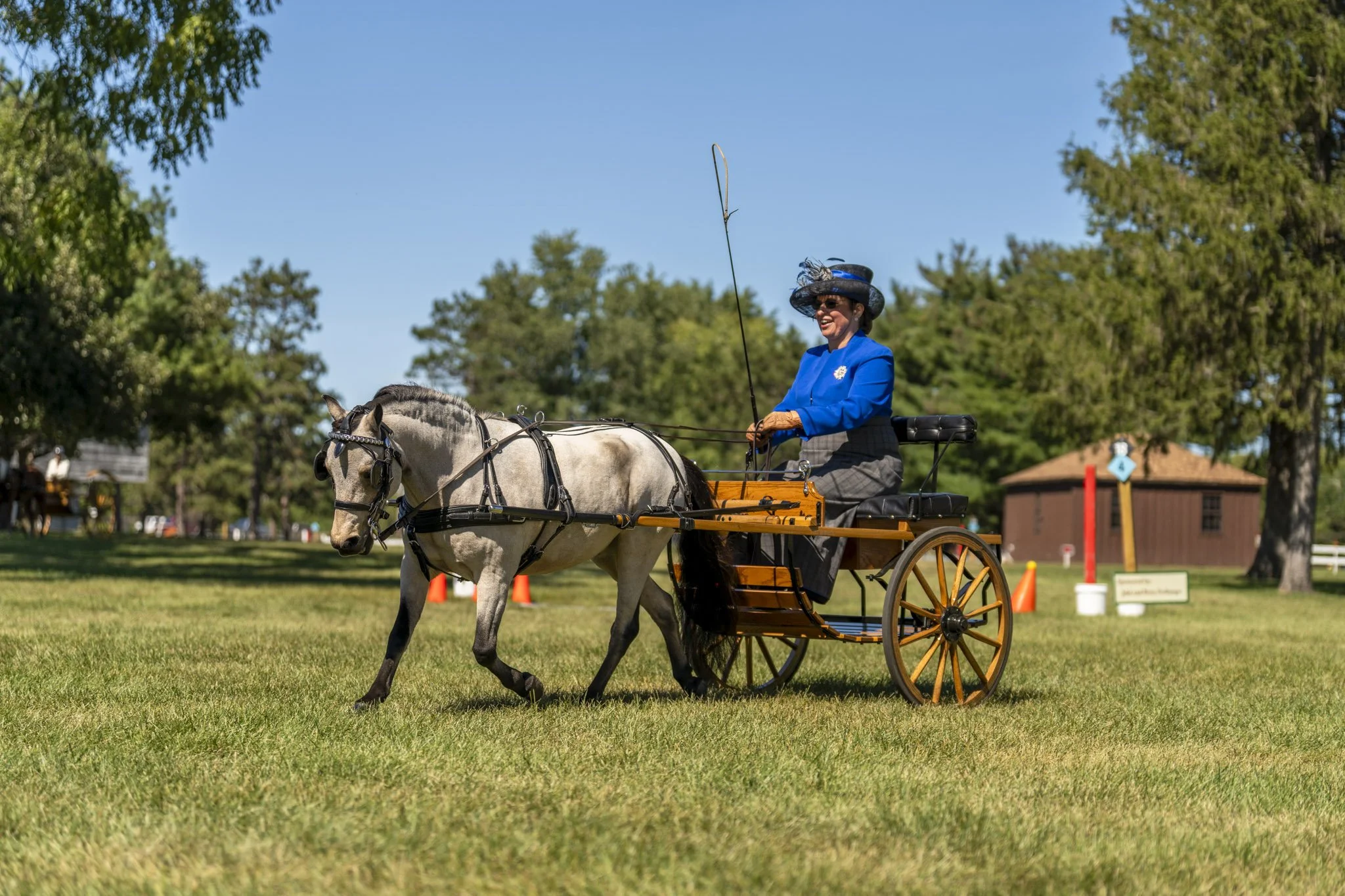 Maffit Sign up for Media for the Wade House Carriage Driving Days — The Framed ...