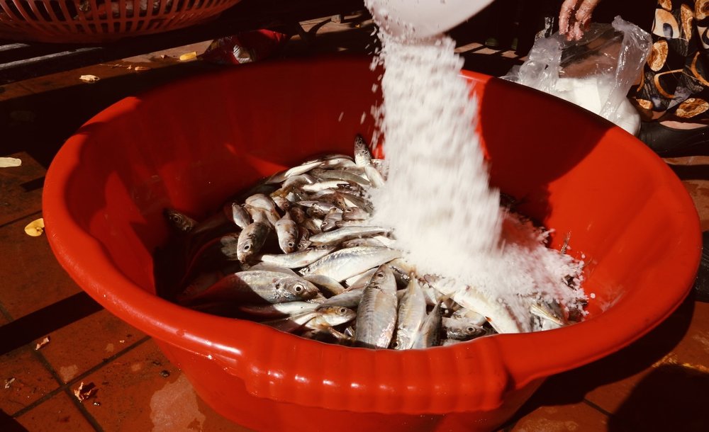 Mix salt with fish