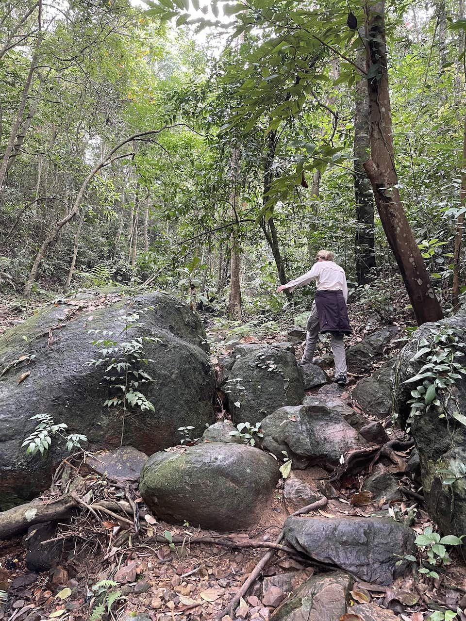 Trekking in Botanic Garden