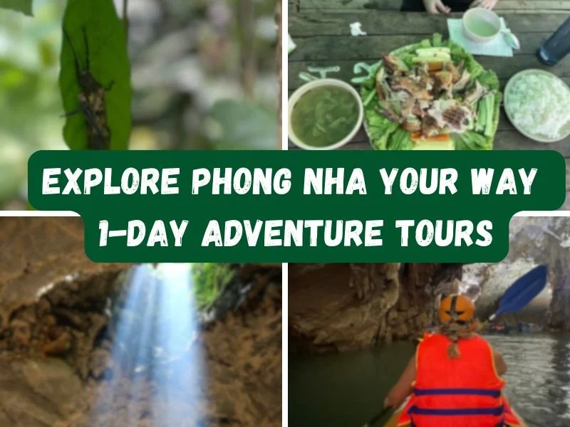 A Complete Comparison of 1-Day Adventure Tours in Phong Nha