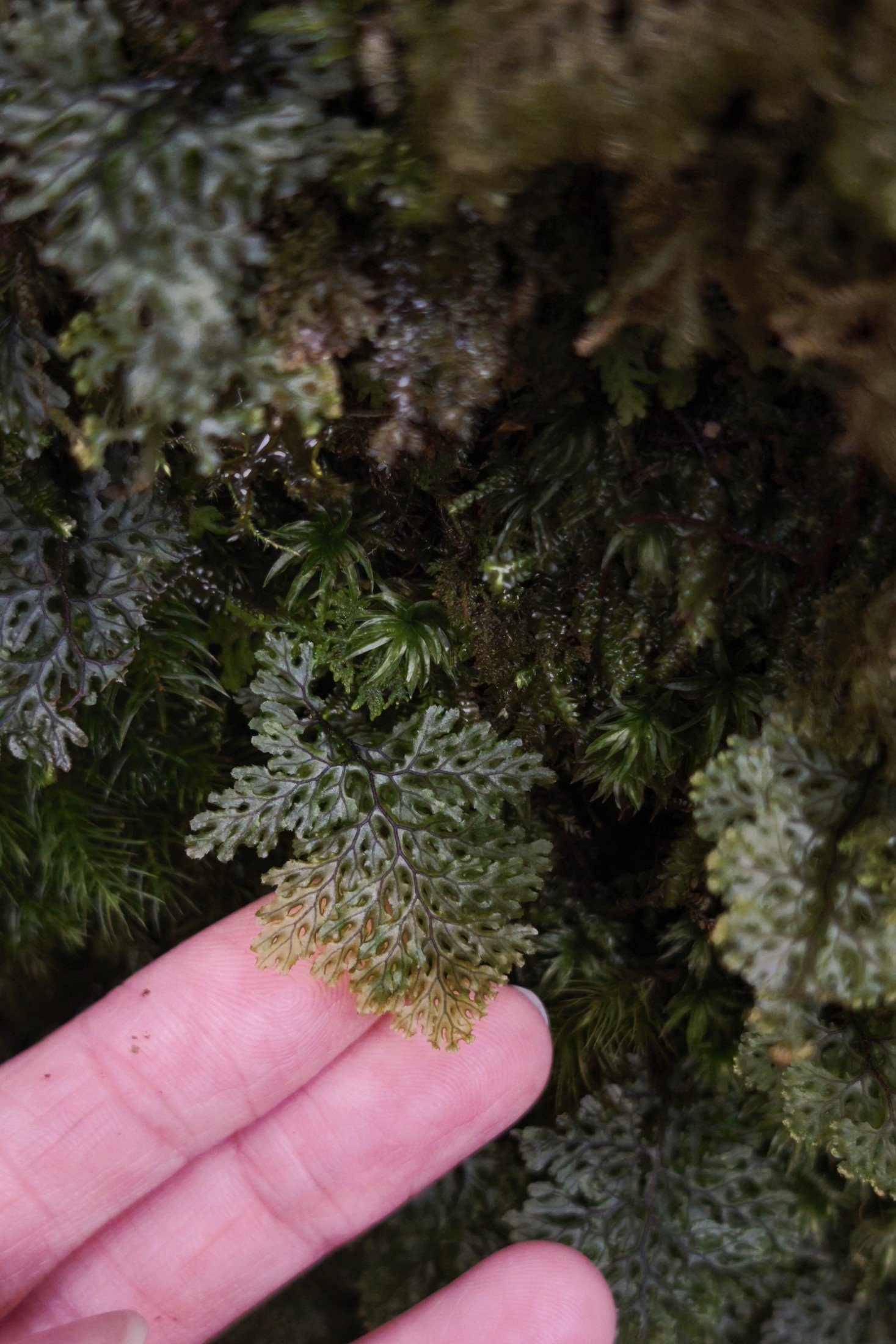 gentle-retreat-2512-day2 (86).jpg