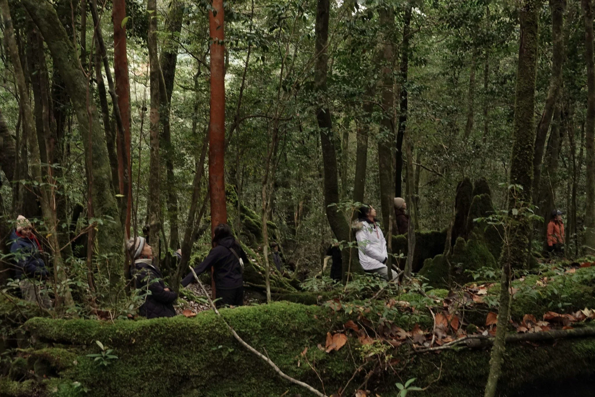 gentle-retreat-2512-day2 (34).JPG