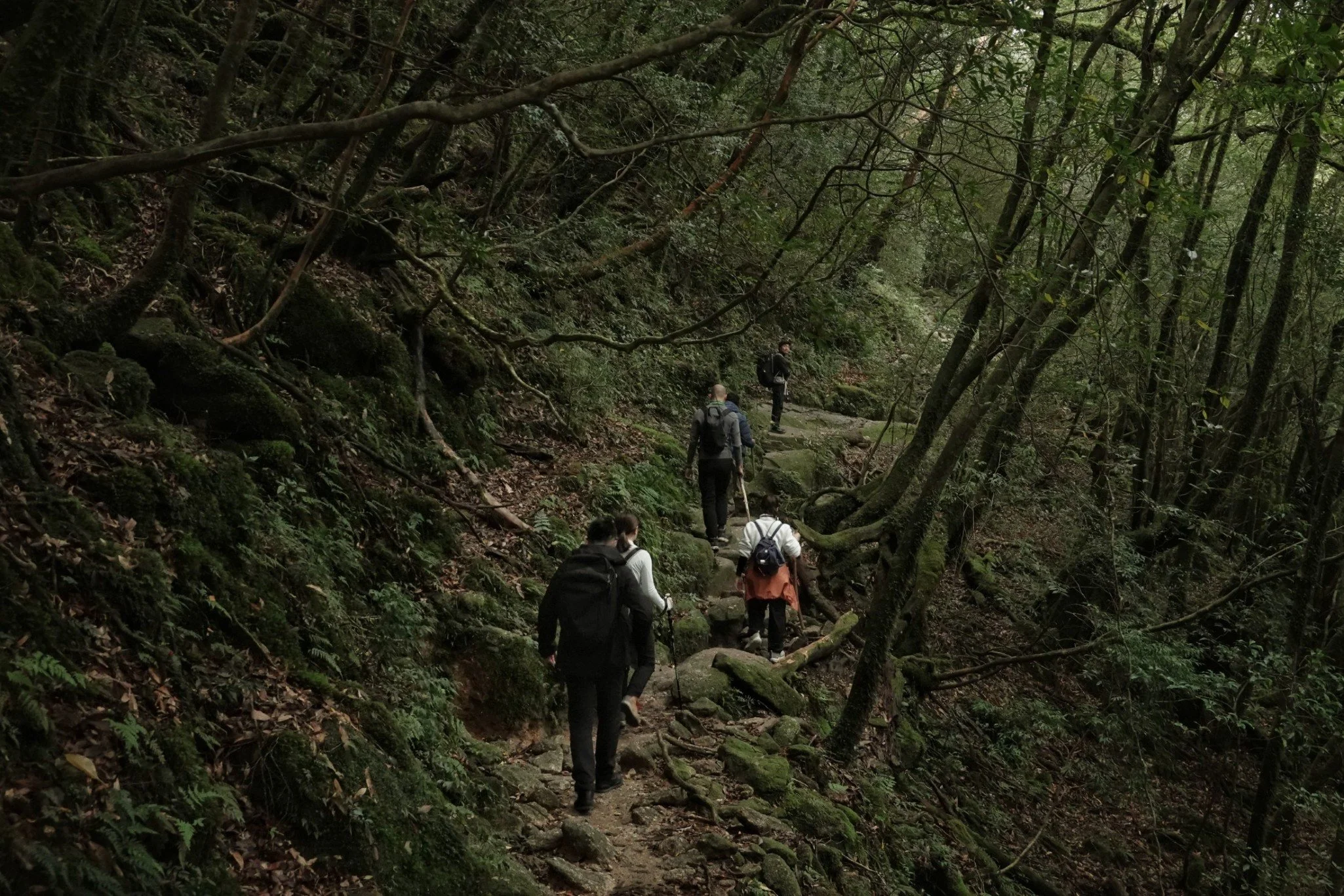 gentle-retreat-2512-day2 (64).JPG