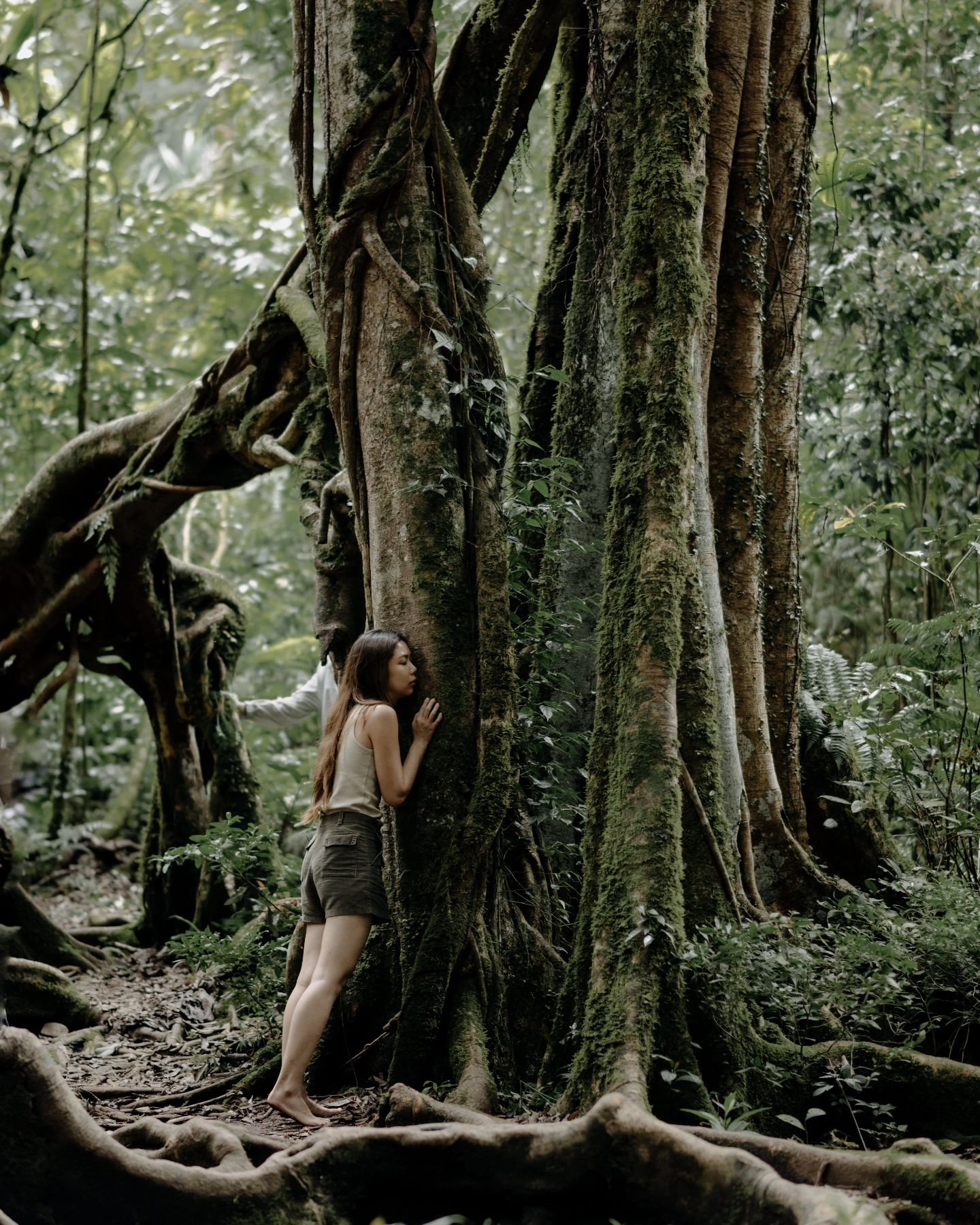 𝗧𝗿𝗲𝗲𝘀' 𝗦𝗽𝗲𝗮𝗸 |  Trees are very quiet and subtle nature beings. They are wise, observe mostly, and speak little. They don't have a spoken voice like humans or animals do, yet we can't deny that they have a strong presence.

If we walk around