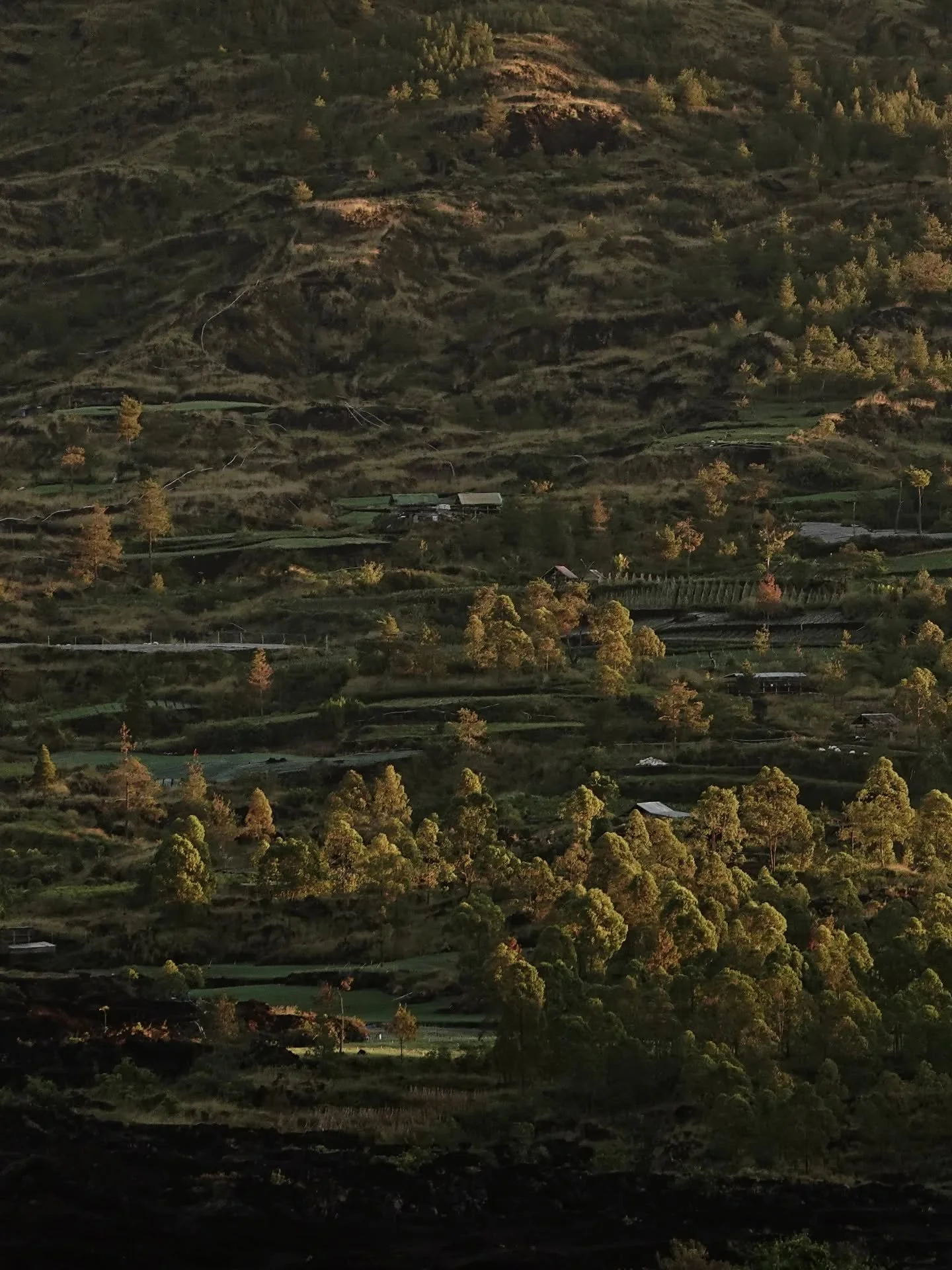 7 more days to Magic Mountains retreat! Feeling so thrilled for the experience to come!

Follow our journey on IG stories in the coming days.

Keen to join us for future cycles of Magic Mountains at Kintamani (in 2026!), comment &quot;MAGIC&quot; to 