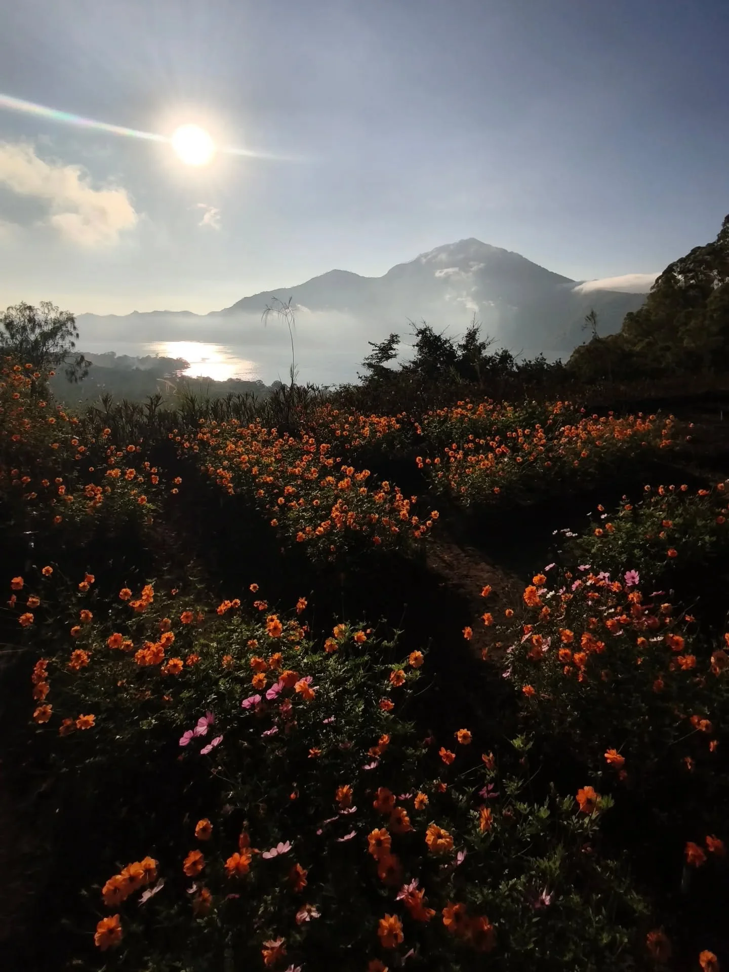 Awe is important to us - it frees us from our mental obsessions and reminds us that there is 'more' to life.

Awe happens spontaneously - when we arrive at a wondrous scenery, when a butterfly lands on our hand, when we witness an act of kindness or 