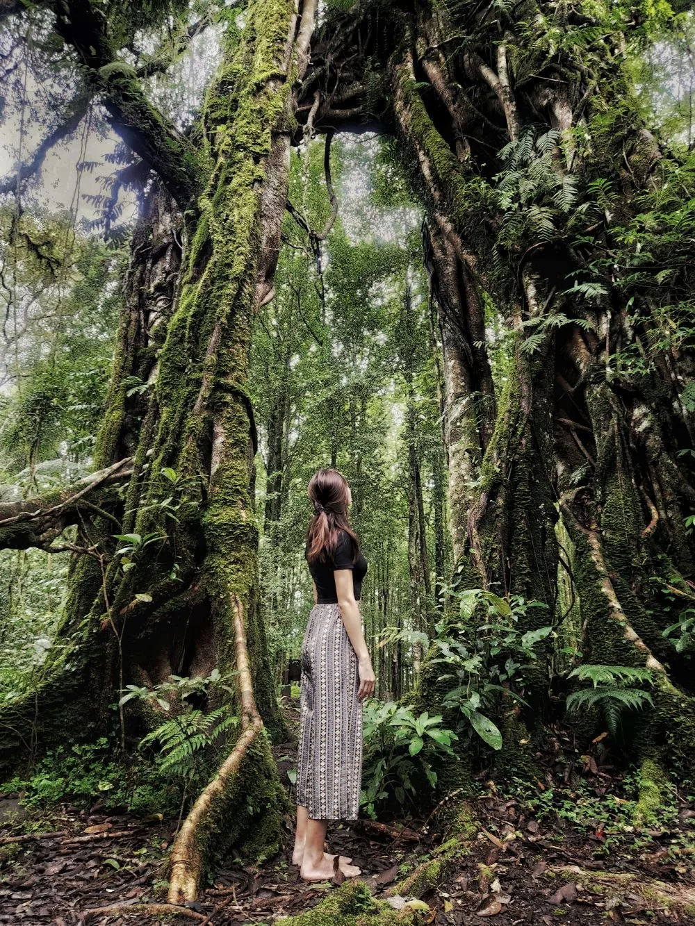 Poem: Tree of Life