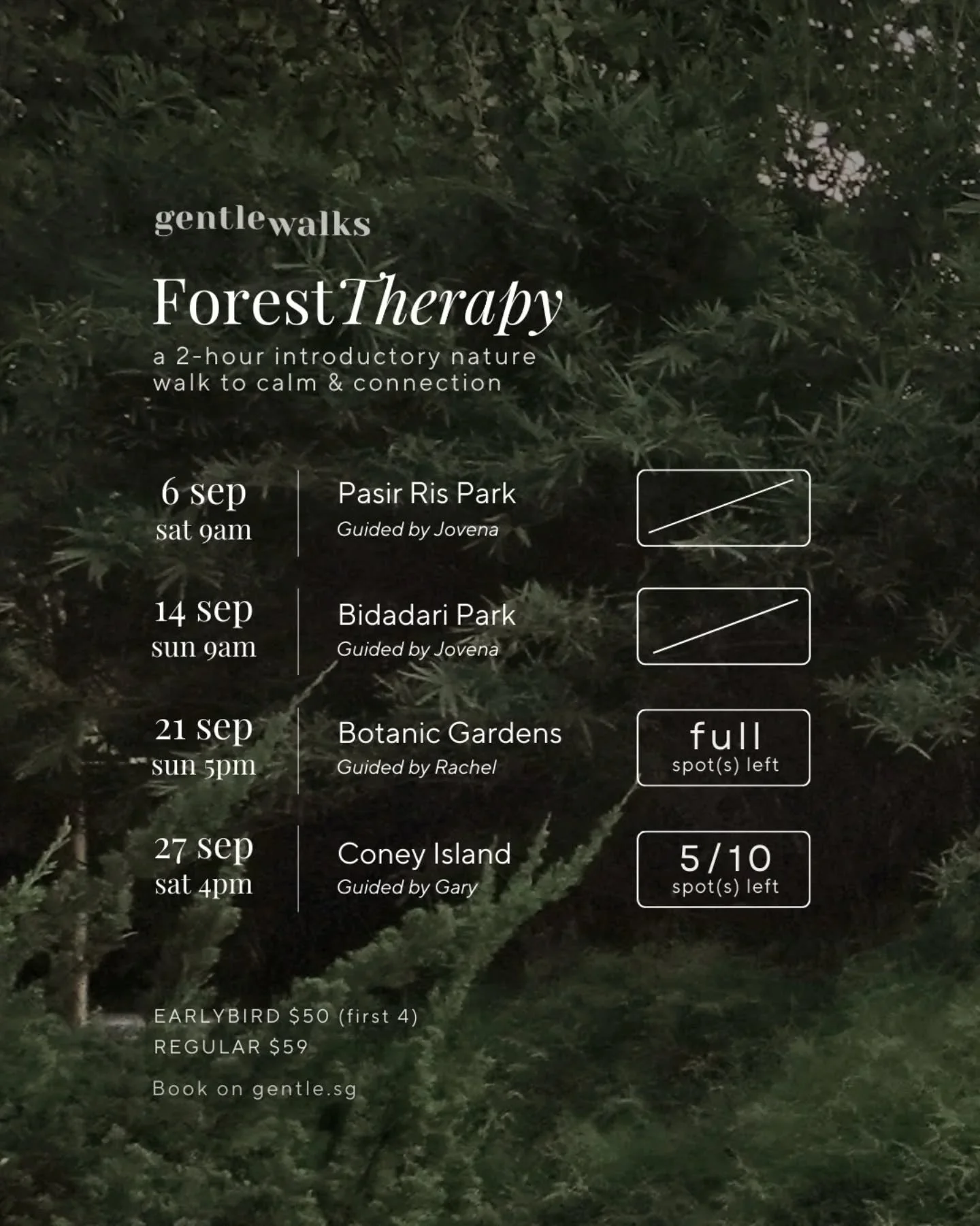 Make time to offer yourself slowness, rest and nourishment in nature.

Forest Therapy is a safe space for you to explore nature in a heartfelt manner, and to discover the nature within.

It is a 2hour immersive experience guided by trained forest the