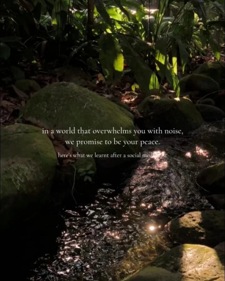 Instagram is not what it used to be. As a small business owner, we need to be choiceful on where to invest this creative energy.

IG algorithm feeds into short attention span and favours content that triggers your response. We are all flooded by coun