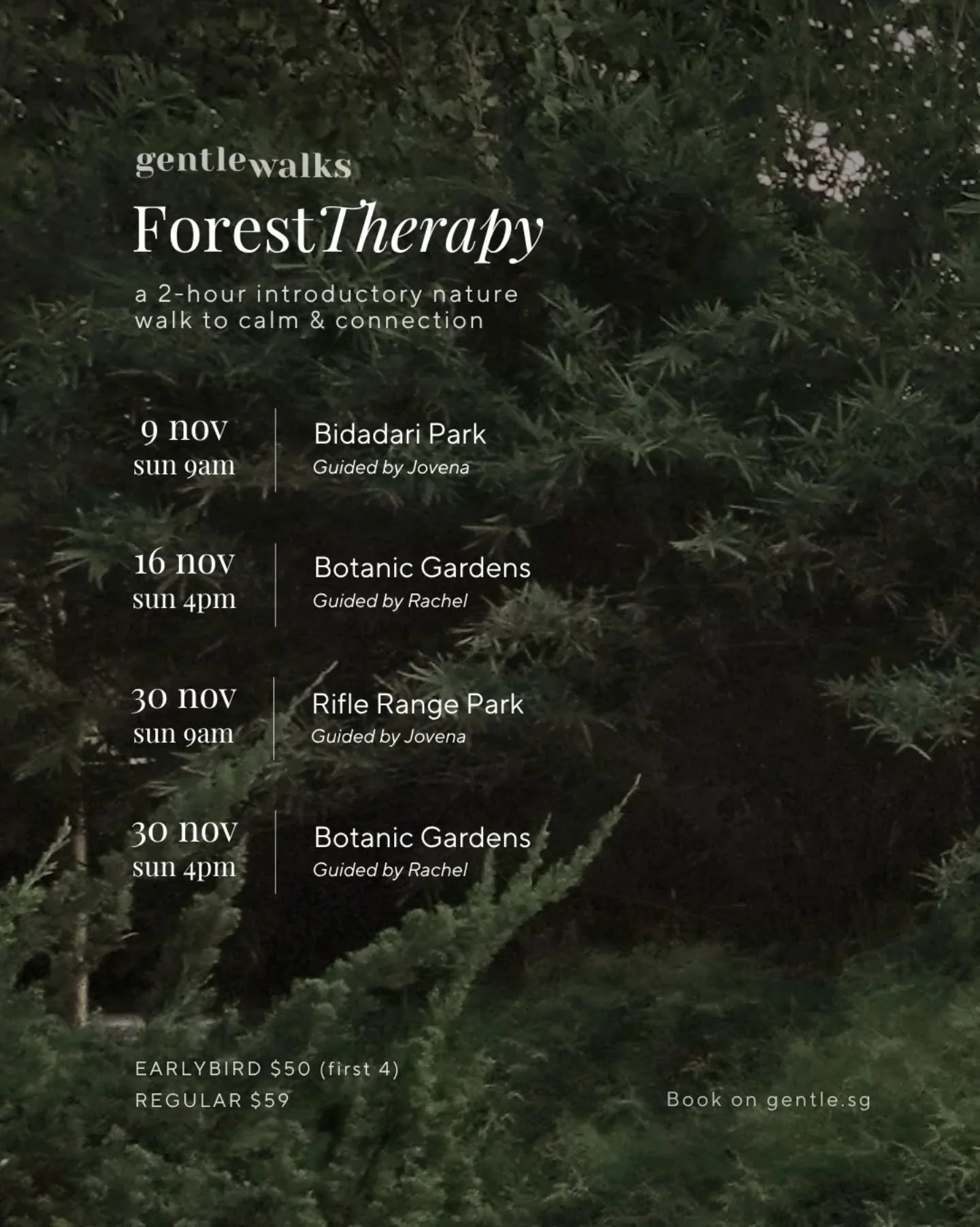 Final 6 walks for 2025. Join us to unwind from the year and begin to slow your pace.

Look forward to a gentle 2-hour experience guided by our trained forest therapy guides, to quieten your mind, awaken your senses and heal with nature.

Experience t