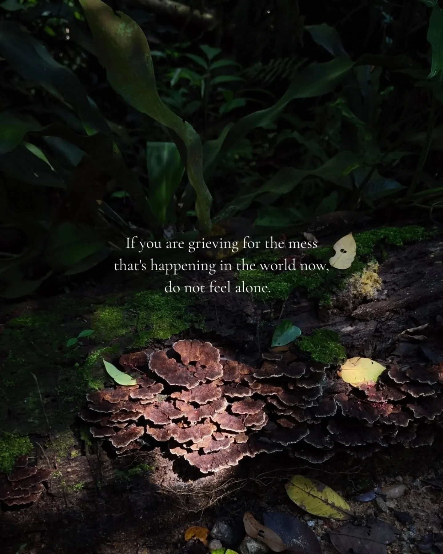 If you are living in duality, sitting in comfort but burning in pain of the collective, you are not mad. Whatever happens to our environment, happens to us. The ripple effect is felt in real time, with the world so interconnected now through the inte