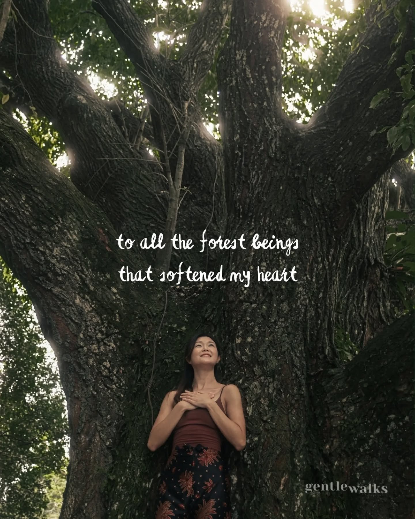 I can no longer count, how many times nature has saved me.

There was a period in my life, when all I felt was doom and gloom. I had no joy, no warmth, and no love in my heart.

The forest beings began to work their magic by first coming to me at my 