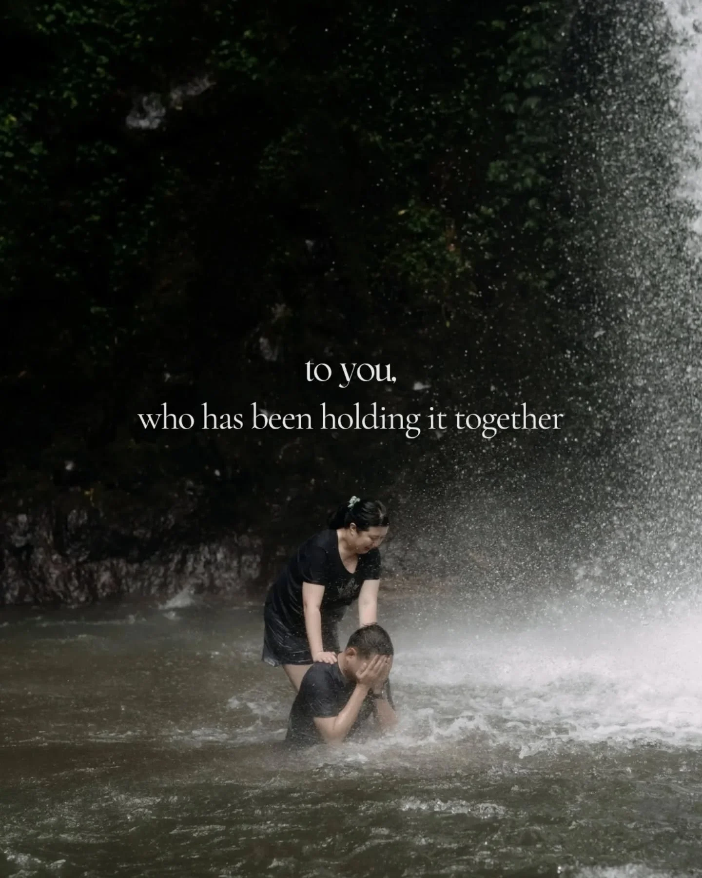 You don't have to wait for yourself to break to deserve rest. You are human, and every being of nature goes through cycles of renewal.

Forest bathing helps us to learn from nature -
how to give and receive,
how to wound and heal,
how to grow and wit