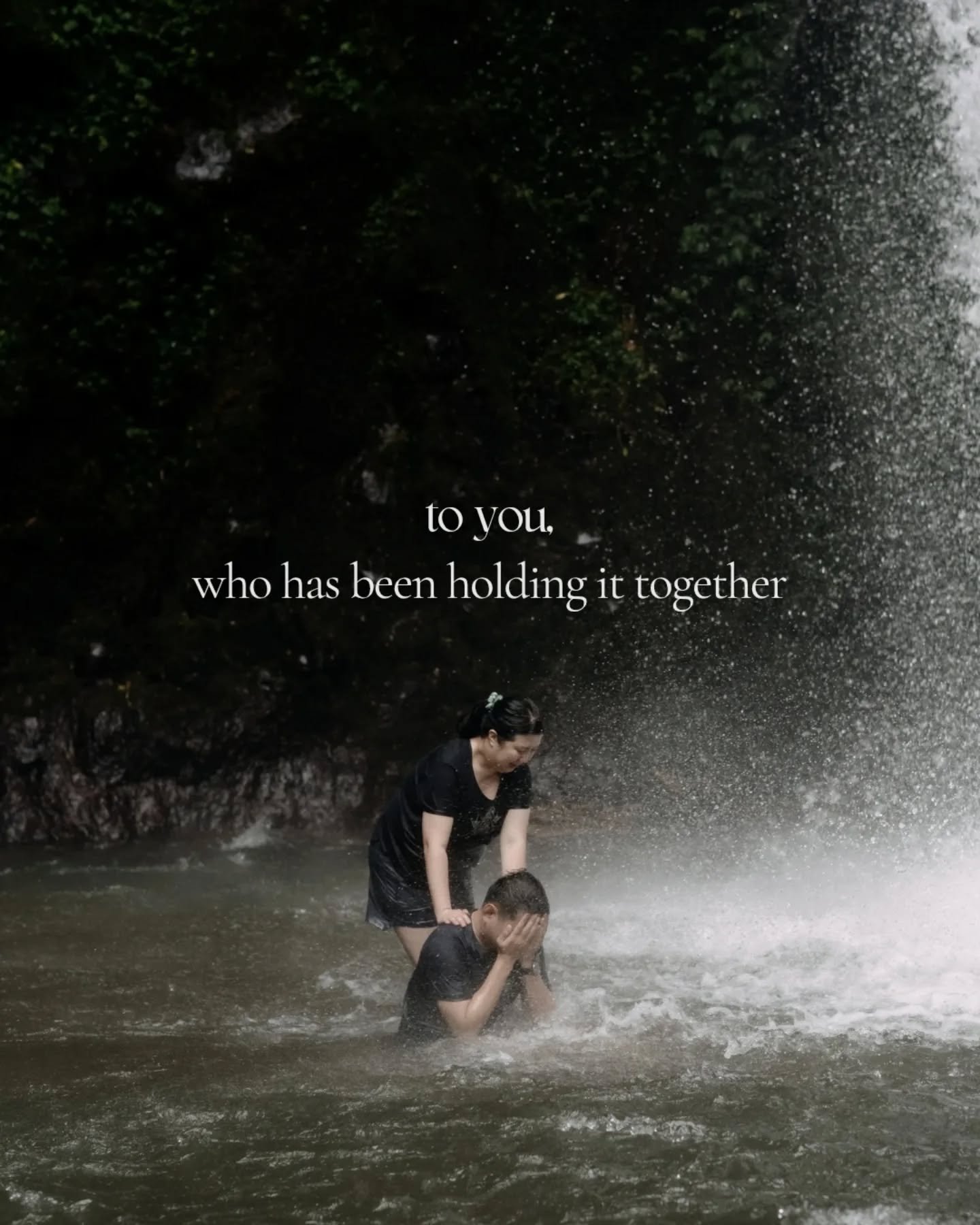 You don't have to wait for yourself to break to deserve rest. You are human, and every being of nature goes through cycles of renewal.

Forest bathing helps us to learn from nature -
how to give and receive,
how to wound and heal,
how to grow and wit