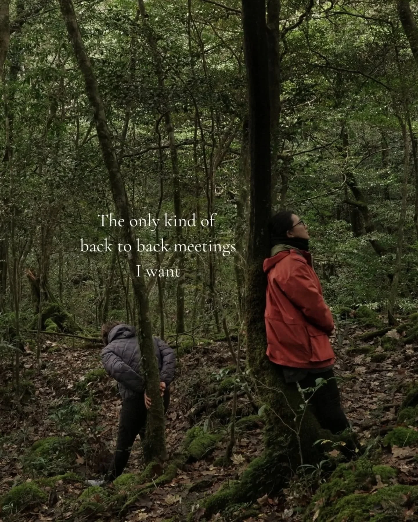 Let me check the upstreams to find the root cause I'd like to be overshadowed by the trees today. 😀

This was so much fun, please inspire us with more in the comments 🐦 

___________________

Welcome to Gentle Walks. Join us for forest bathing walk