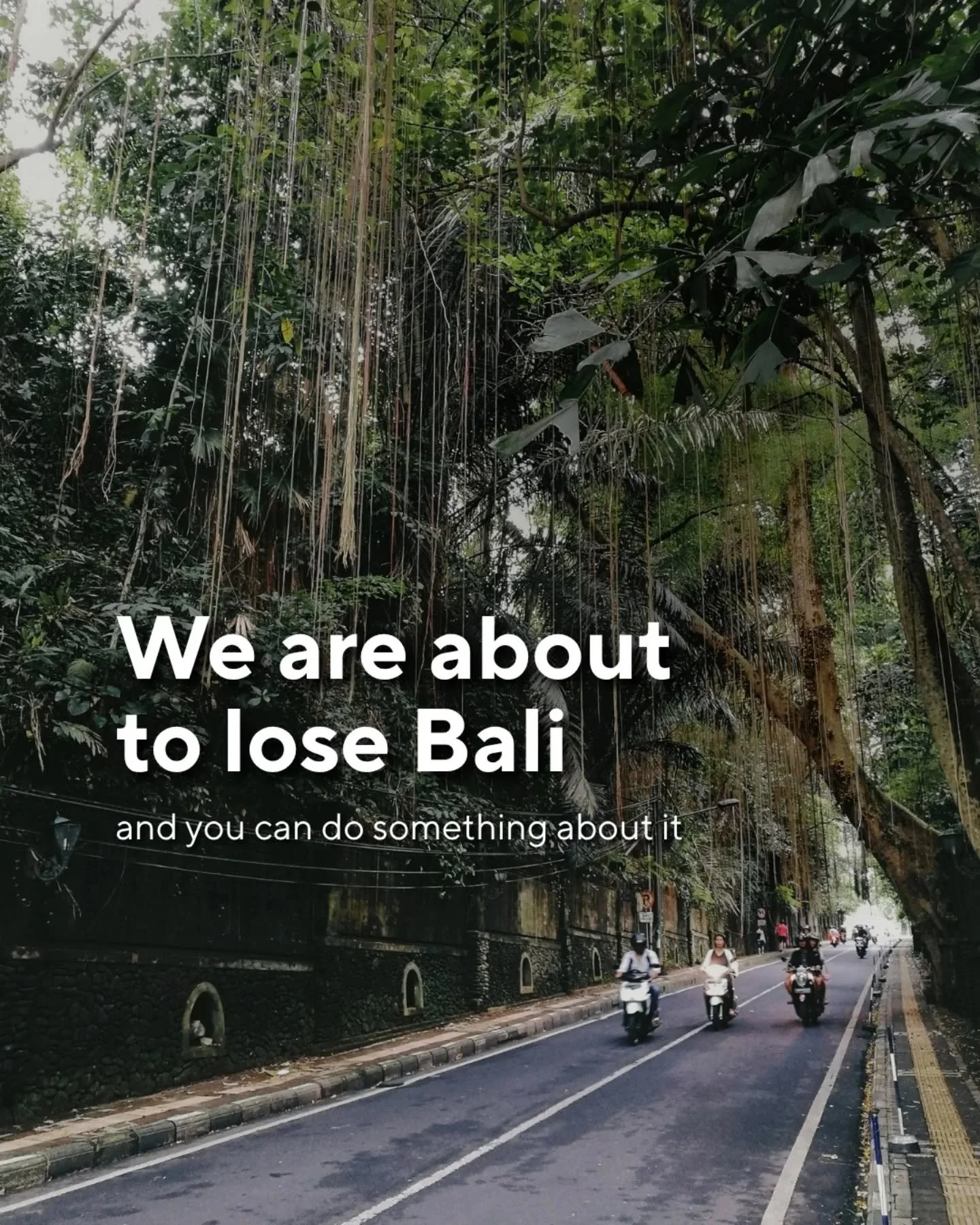 Bali is in crisis now. We are watching a case of overtourism destroying local environment, culture and way of life unfolding in real time. 

We refuse to let the precious nature of Bali go down this way. 

It is calling us forth to act. You can be a 