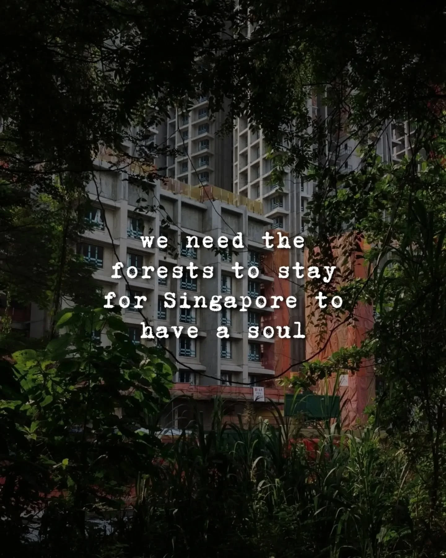 Let our voice be heard of what we want to preserve on this land we call home.

Out of 20% of forests we have left in Singapore, 10% are slated for urban redevelopment. We lost part of Dover and almost all of Tengah. Maju forest and Gillman Barracks F