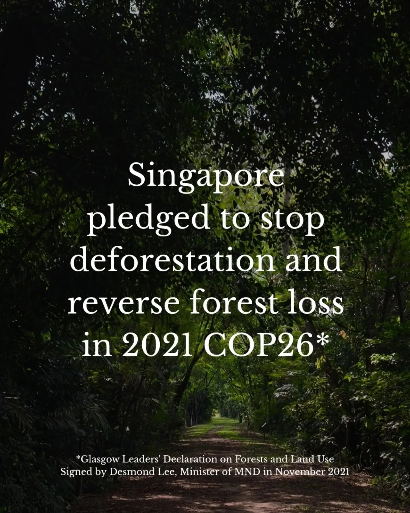 Forests are our inheritance, the value of it cannot be measured by dollars.

To call ourselves City in Nature, keep the forests.

We, as members of public, as kins of the forest, respectfully request commitment to this pledge to preserve all existing