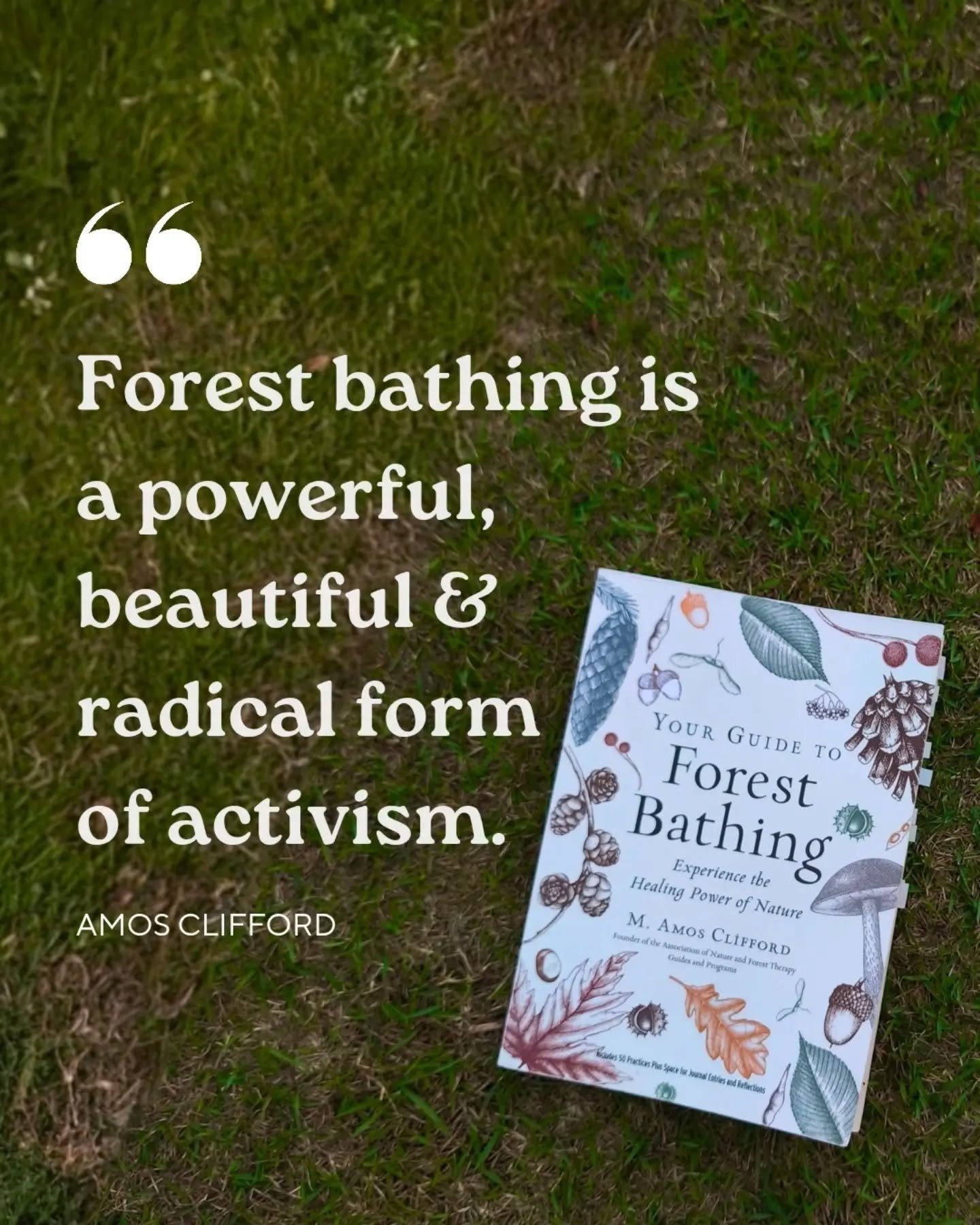 The most dangerous thing one can do, is to fall in love. Because love makes you invincible, unafraid and full of hope. So go, go to the forests and fall in love.

___________

𝐔𝐏𝐂𝐎𝐌𝐈𝐍𝐆 
FOREST BATHING: a monthly micro retreat in nature
| Last