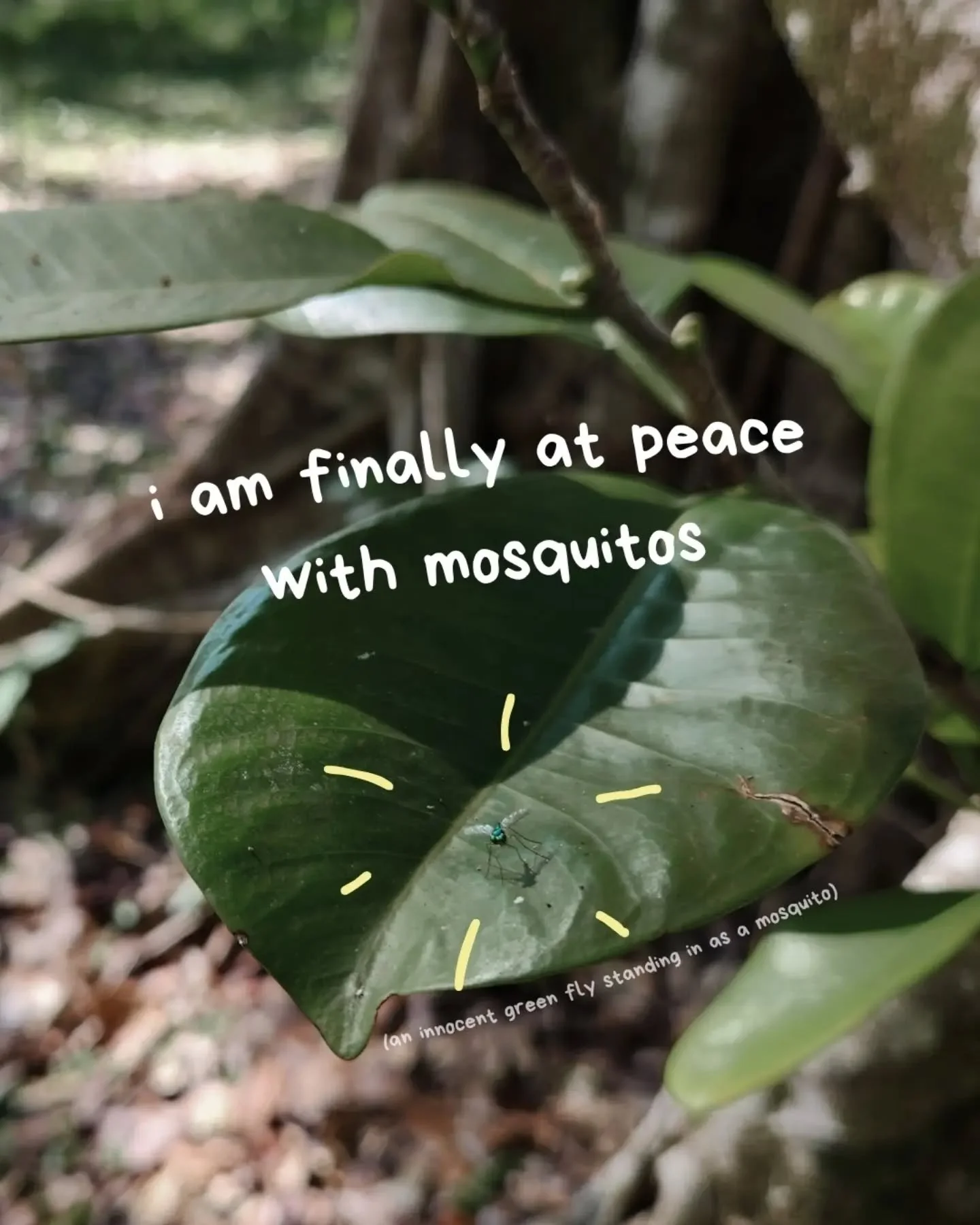 This is "I love nature" level 2000 😂  Mosquitos are probably one of the top reasons why someone will never join us for forest bathing.

You cannot avoid them, but the places we choose to guide at are really not that bad at all. I've also b